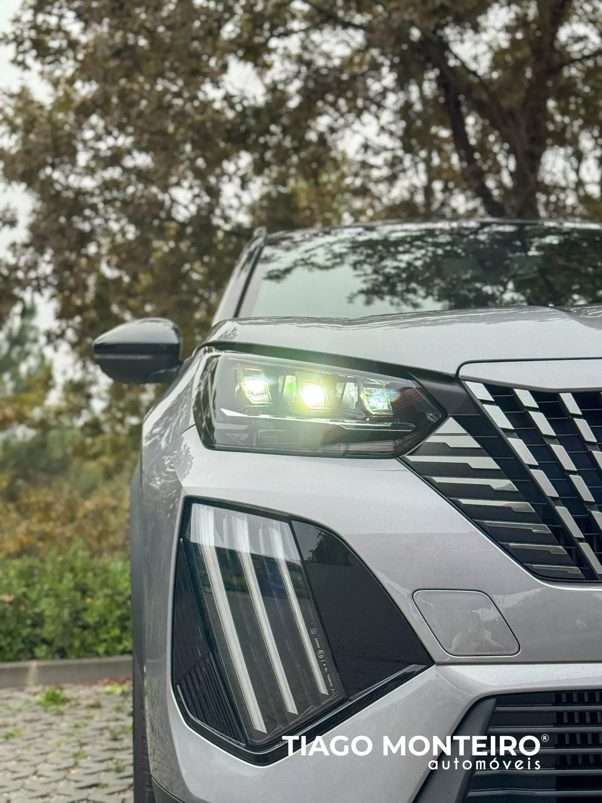 Peugeot 2008 1.2 PureTech GT EAT8 (2023-2024) 29