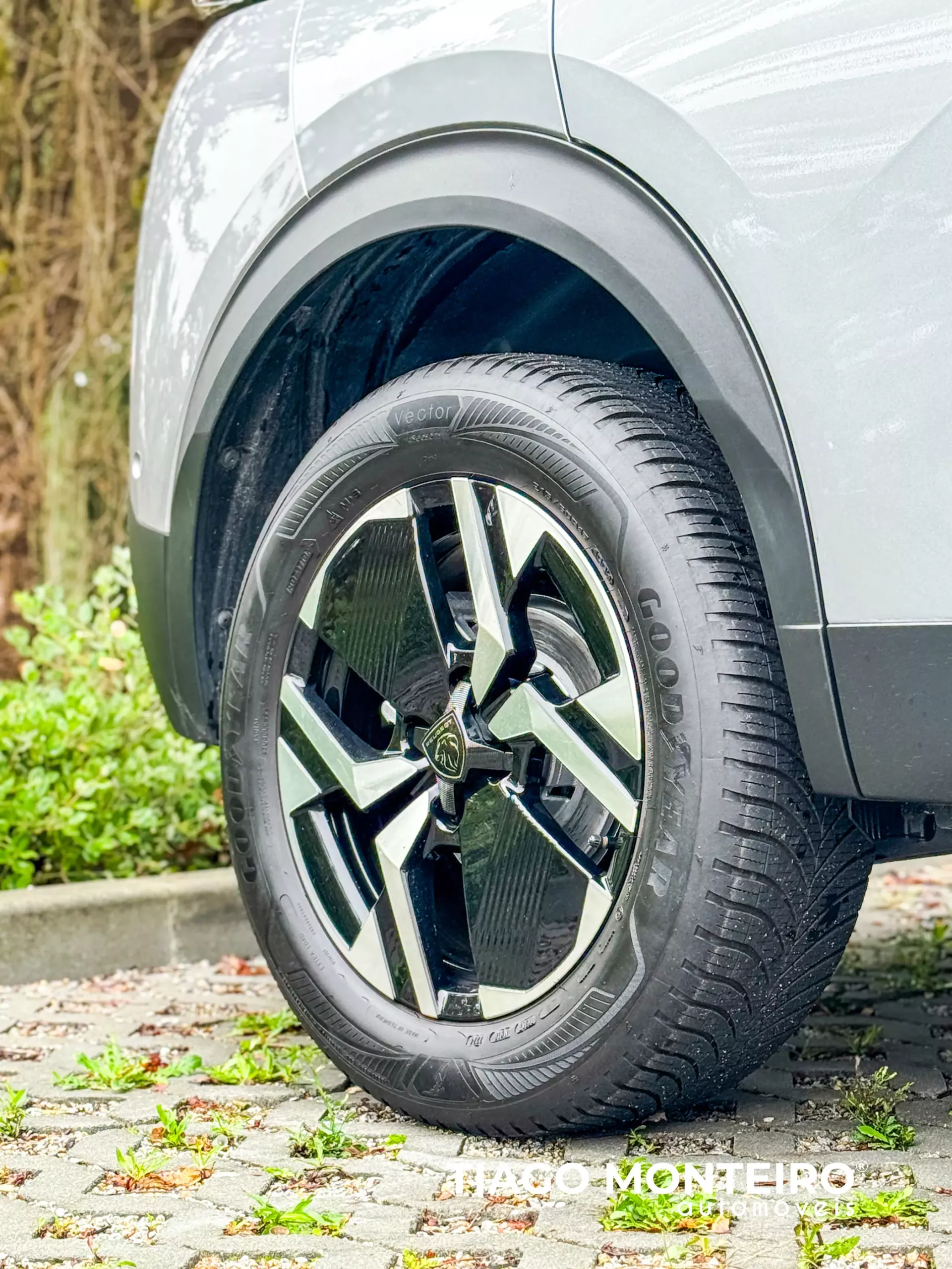 Peugeot 2008 1.2 PureTech GT EAT8 (2023-2024) 30