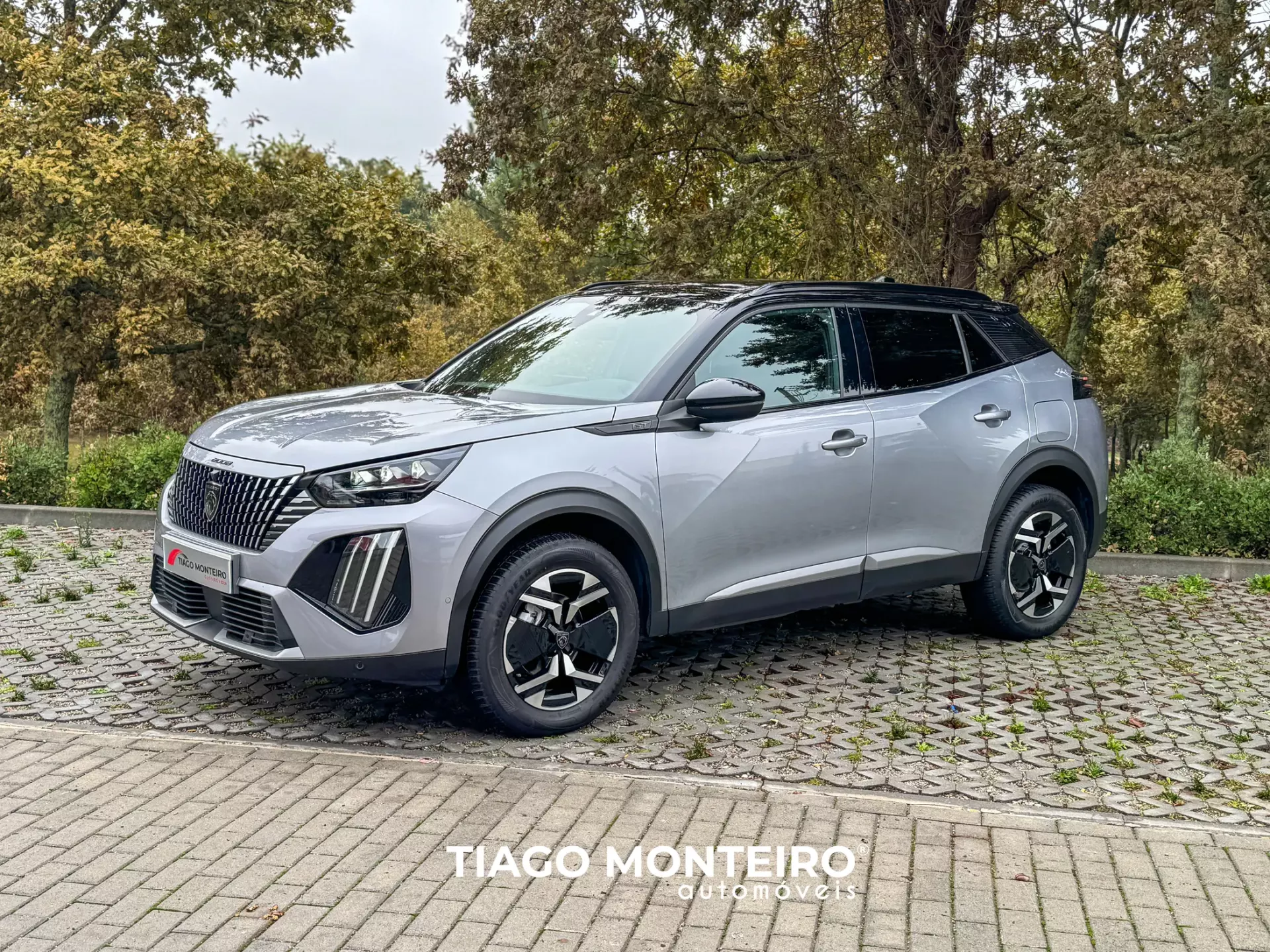 Peugeot 2008 1.2 PureTech GT EAT8 (2023-2024) 35