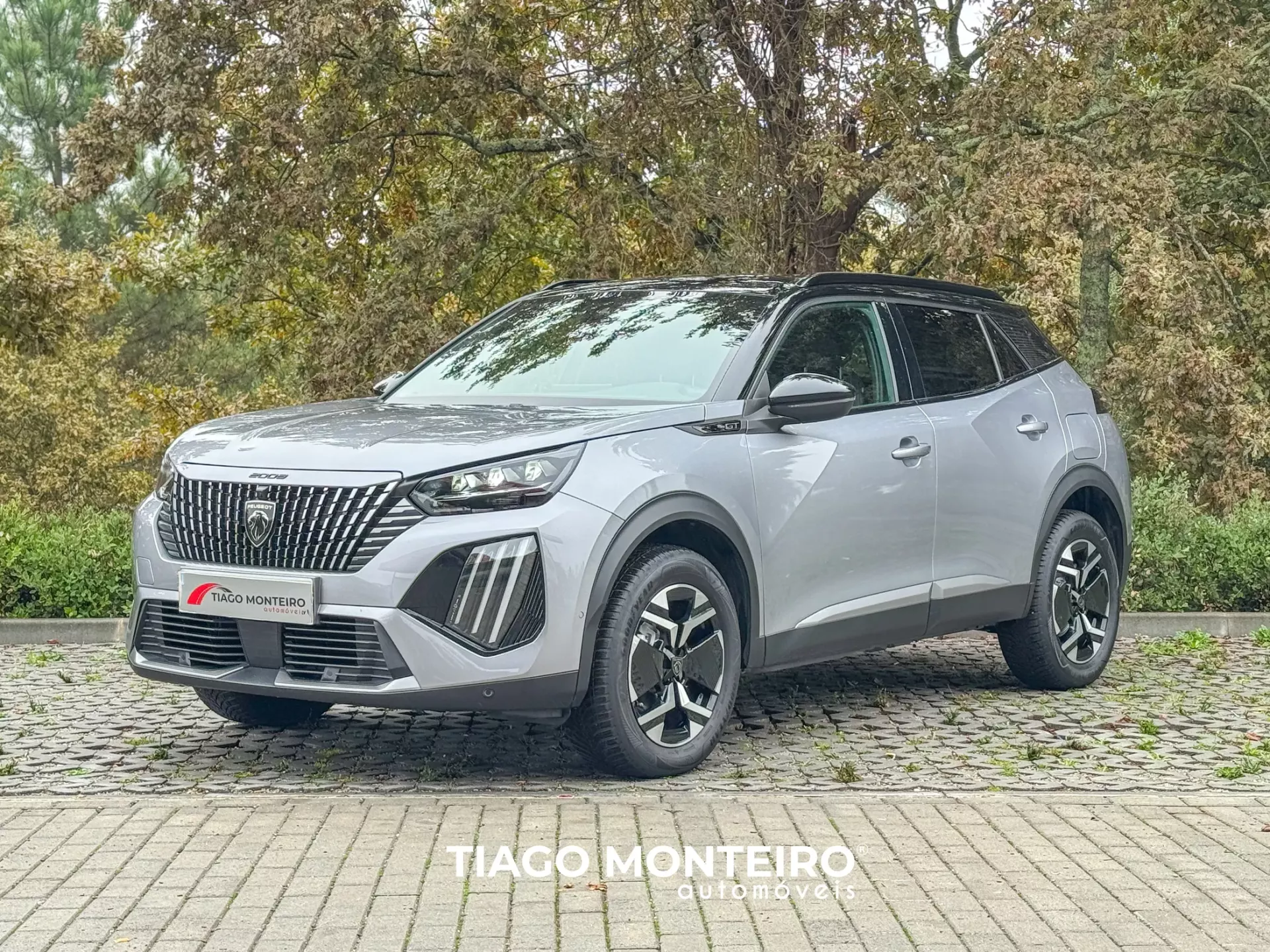 Peugeot 2008 1.2 PureTech GT EAT8 (2023-2024) 36