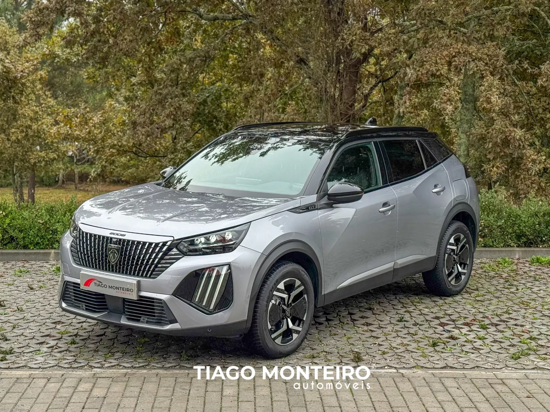 Peugeot 2008 1.2 PureTech GT EAT8 (2023-2024) 38