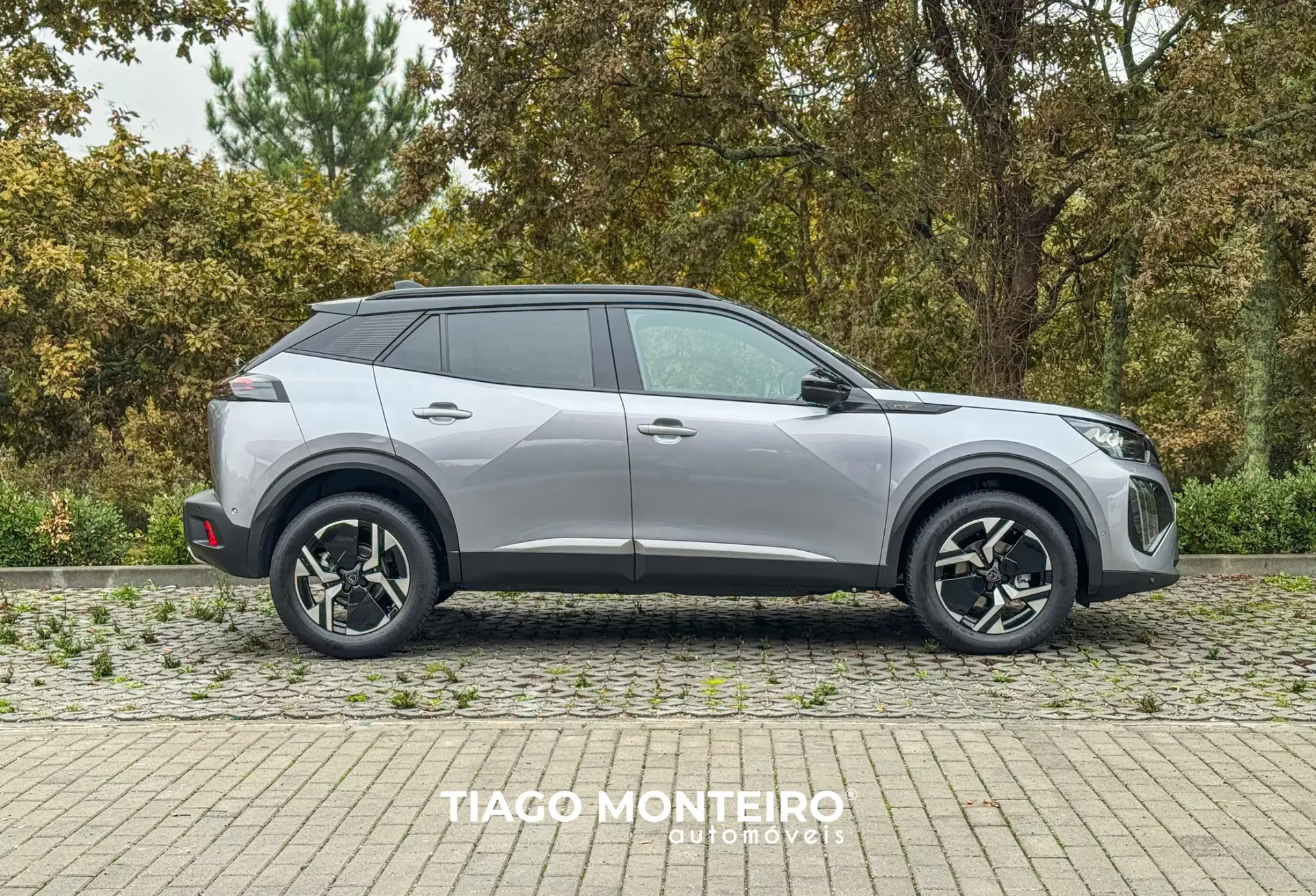 Peugeot 2008 1.2 PureTech GT EAT8 (2023-2024) 41