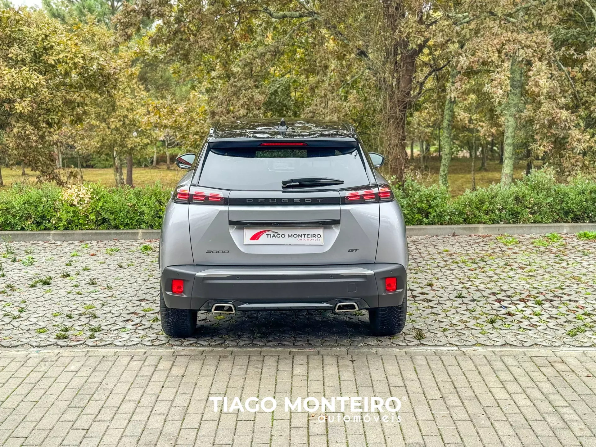 Peugeot 2008 1.2 PureTech GT EAT8 (2023-2024) 46