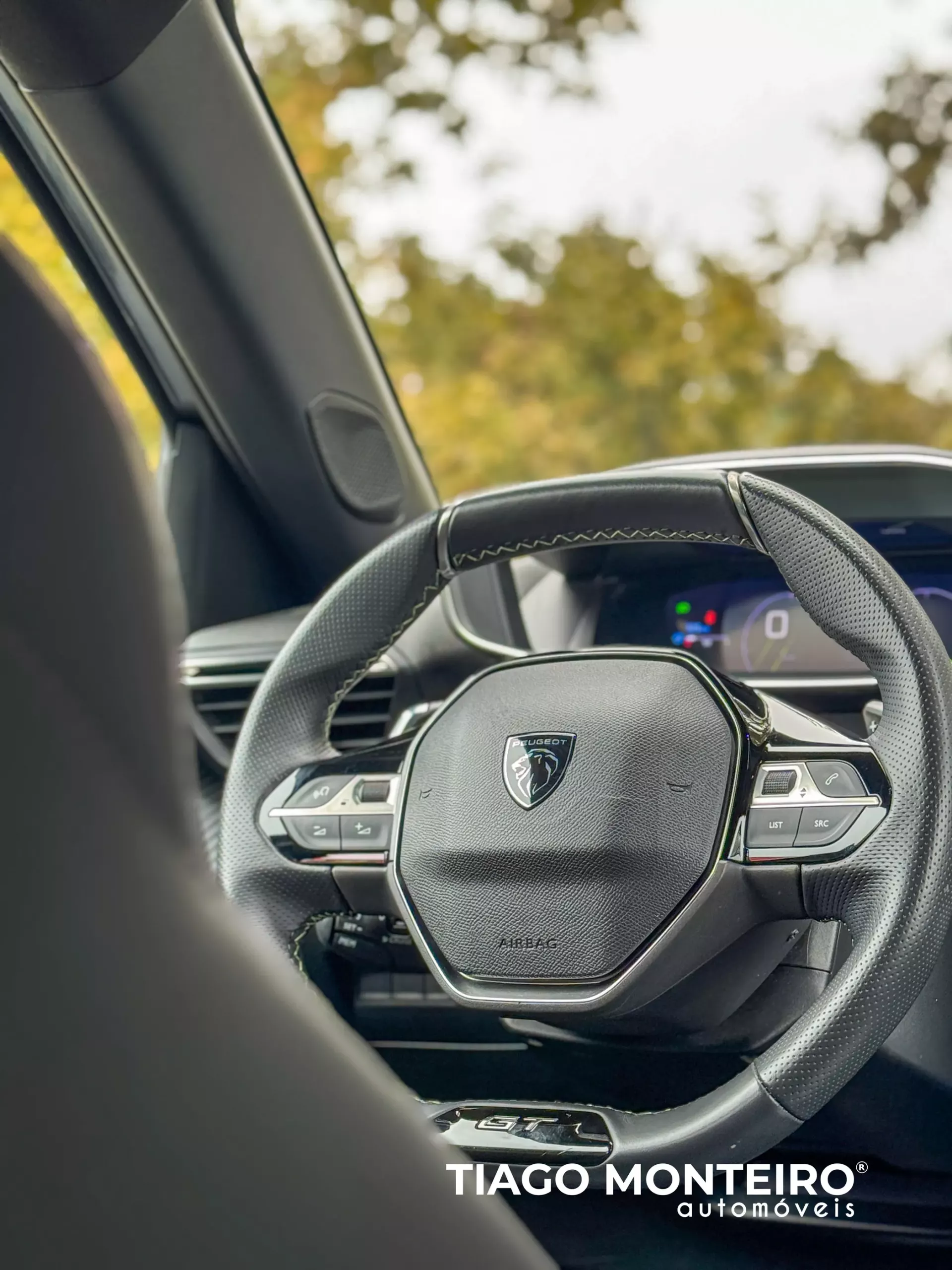 Peugeot 2008 1.2 PureTech GT EAT8 (2023-2024) 54