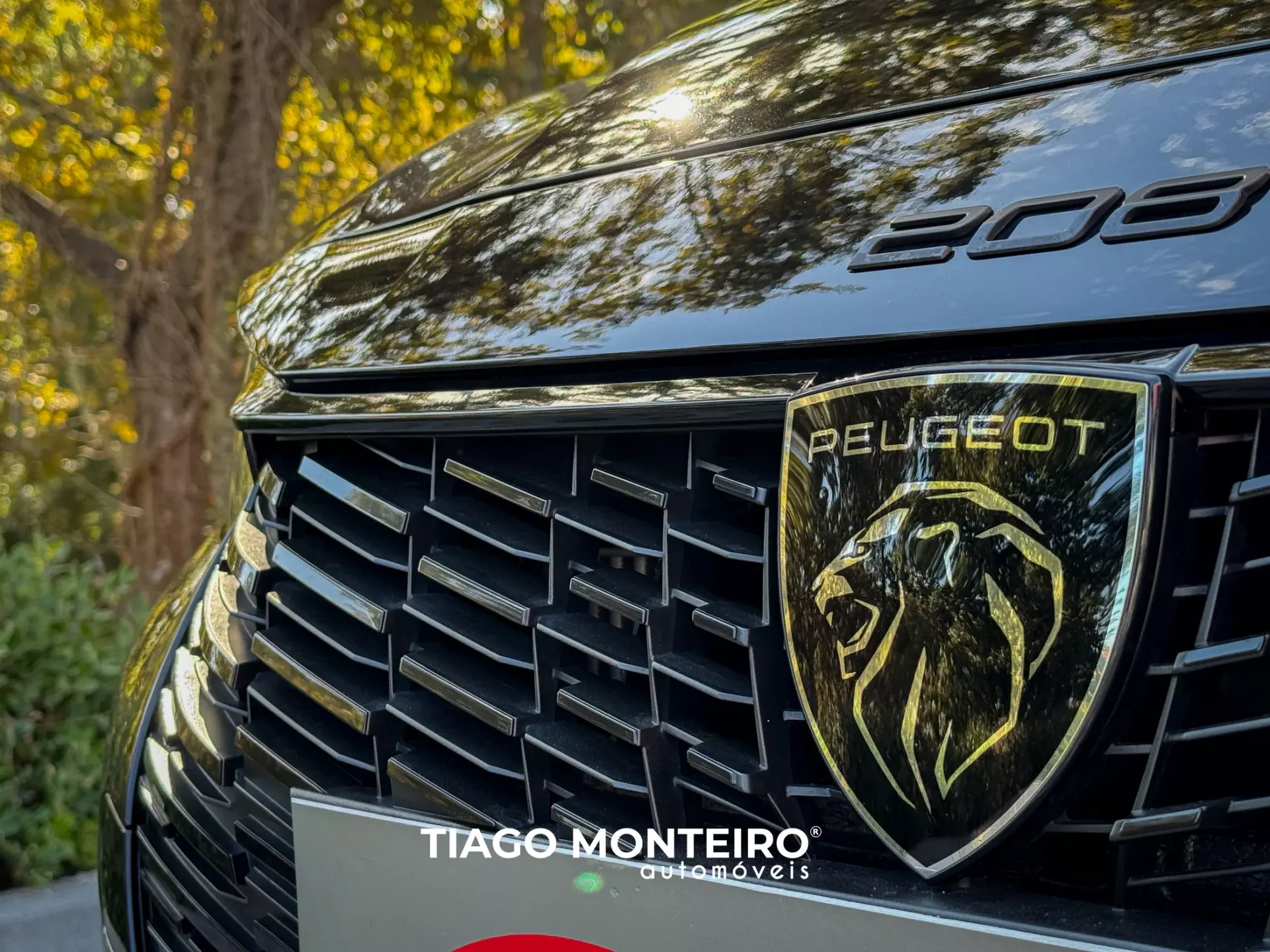 Peugeot 208 1.2 PureTech Allure (2023-2025) 23