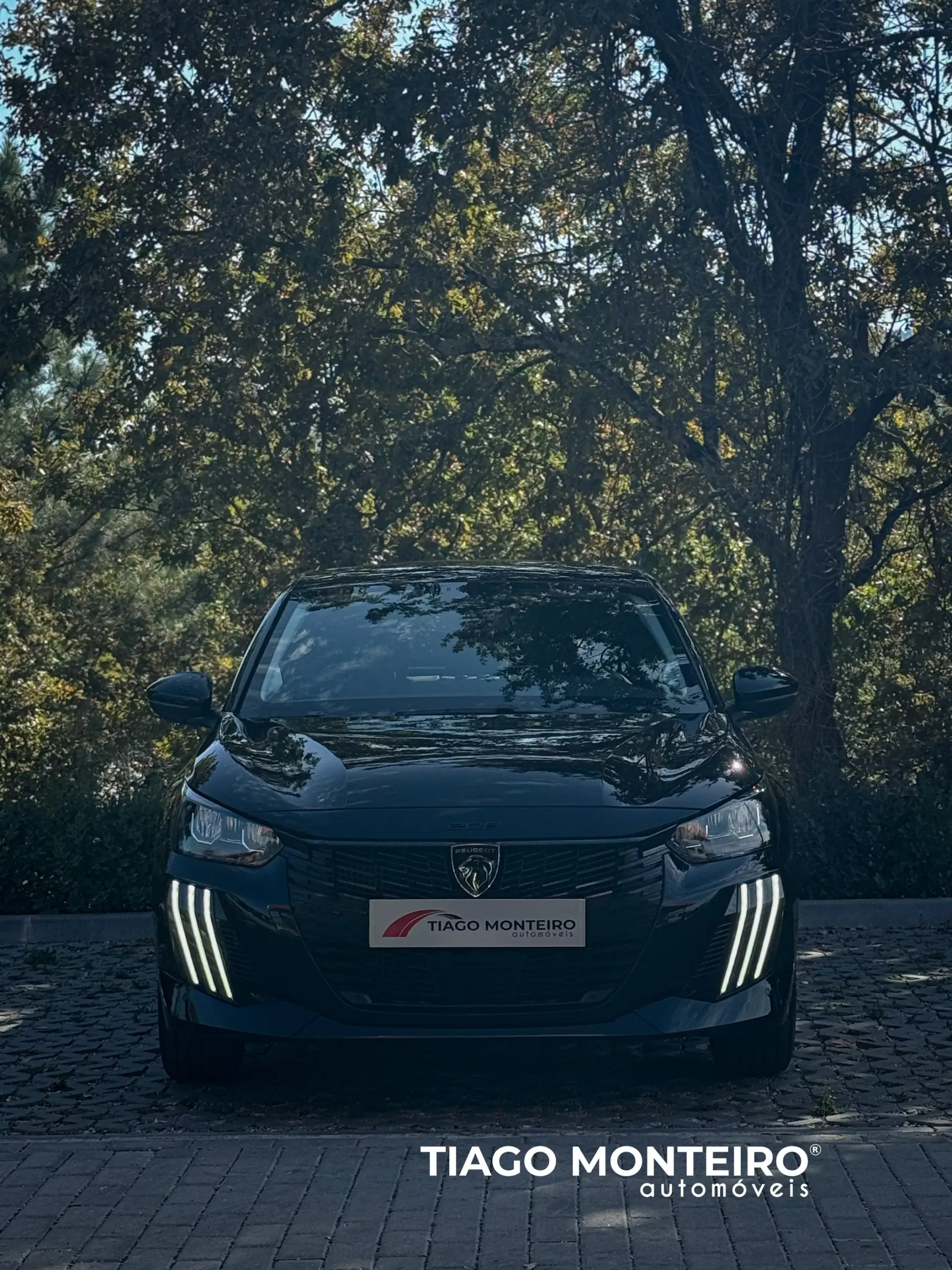 Peugeot 208 1.2 PureTech Allure (2023-2025) 35