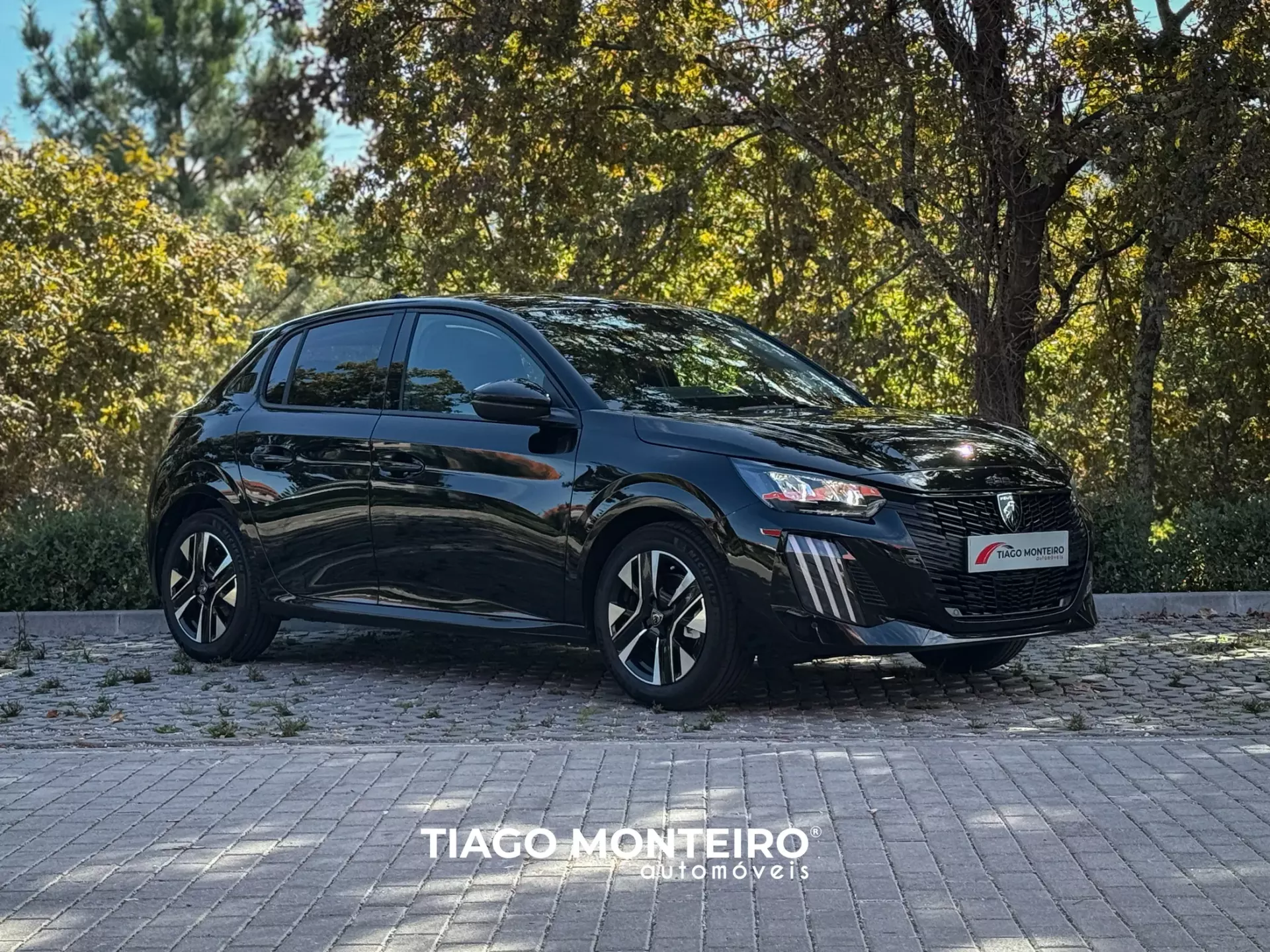 Peugeot 208 1.2 PureTech Allure (2023-2025) 42