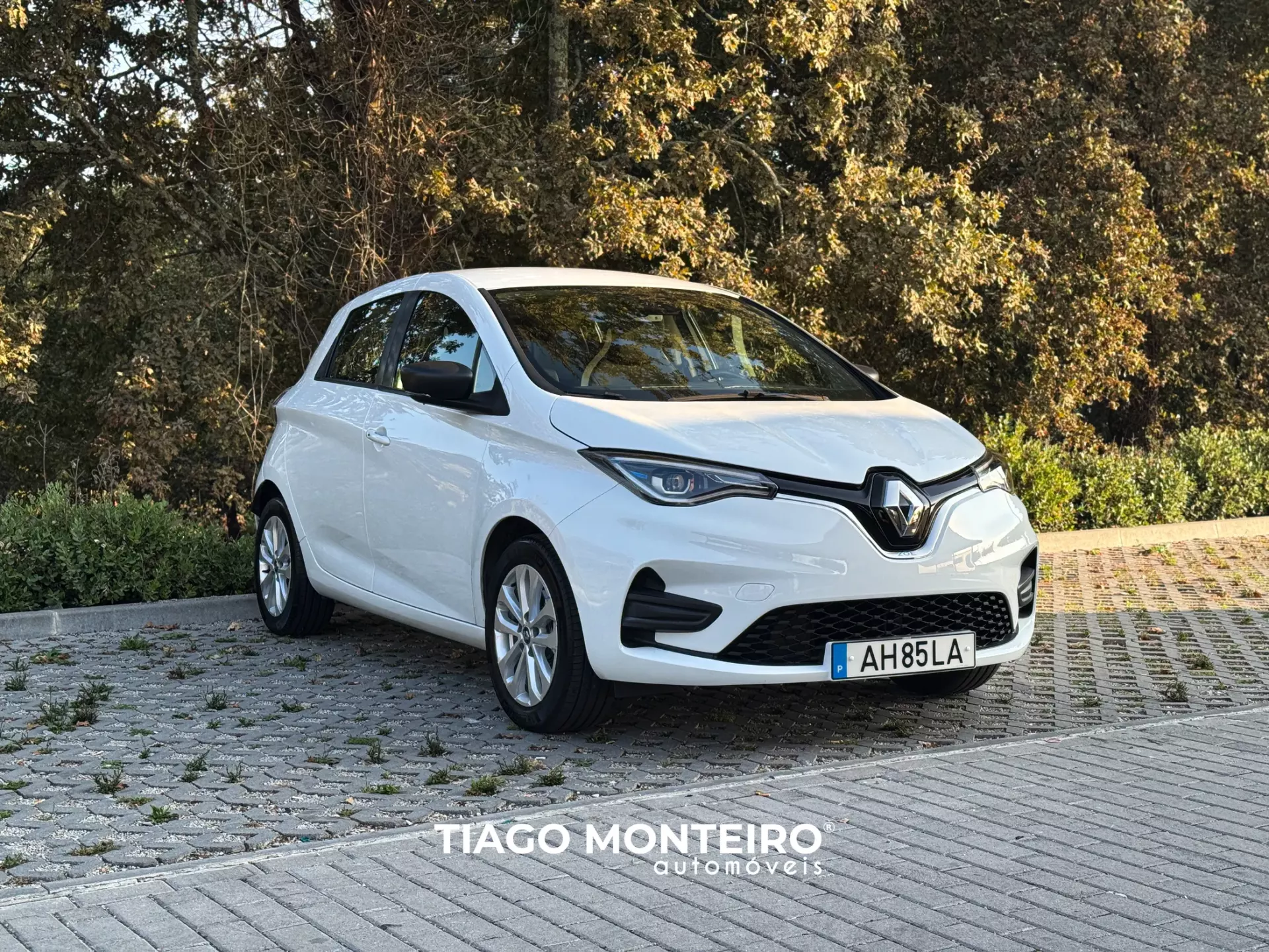 Renault Zoe (c/ Bateria) Intens 50 2