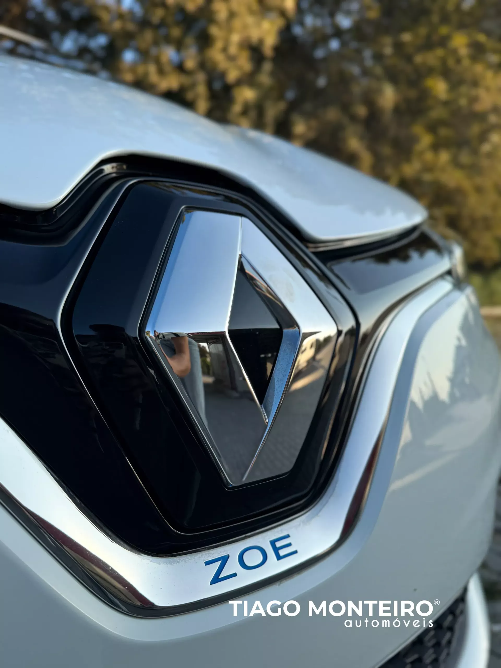 Renault Zoe (c/ Bateria) Intens 50 12