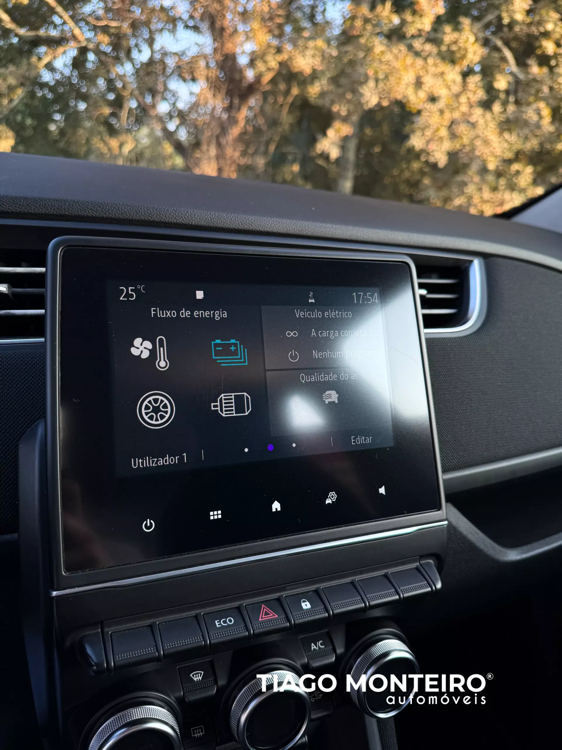 Renault Zoe (c/ Bateria) Intens 50 31