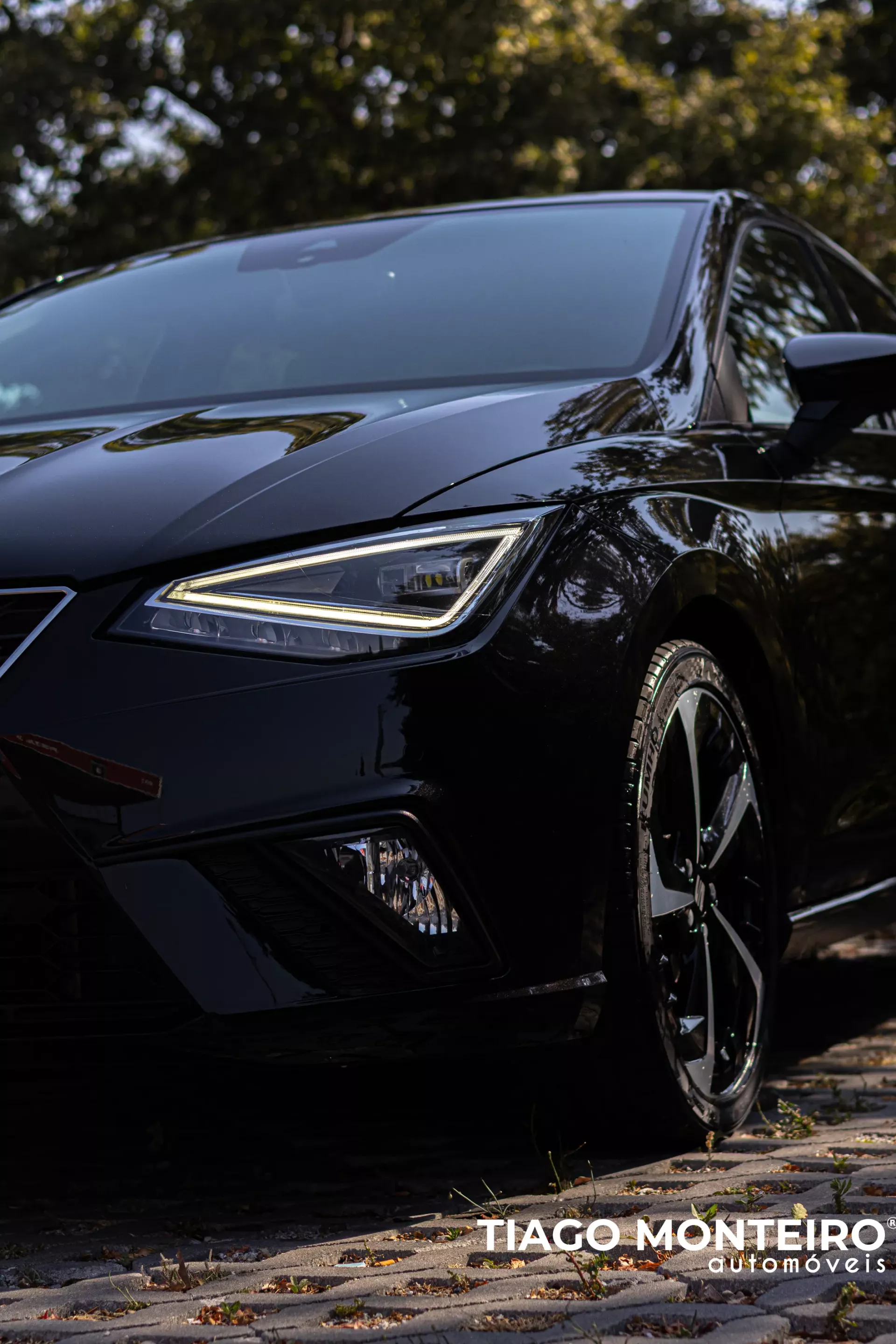 SEAT Ibiza 1.0 TSI FR (2021-2025) 14