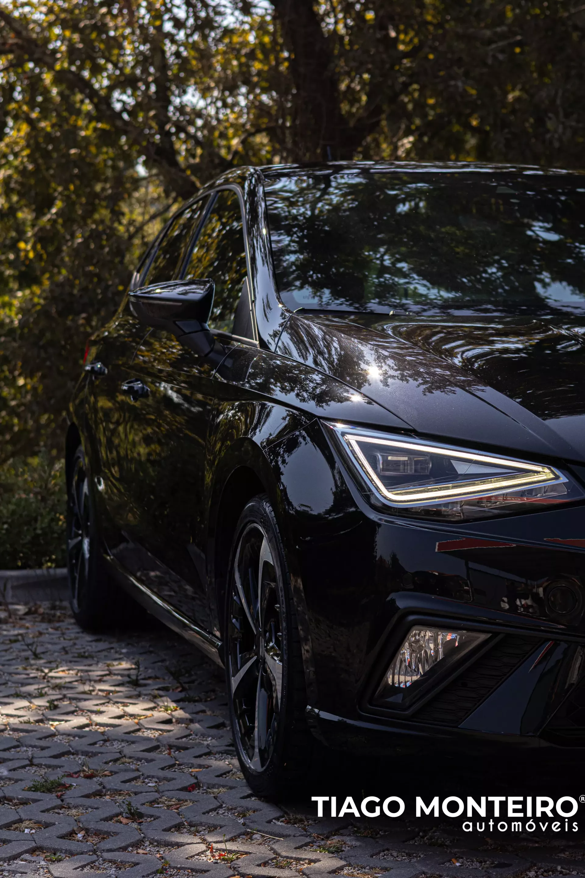 SEAT Ibiza 1.0 TSI FR (2021-2025) 17