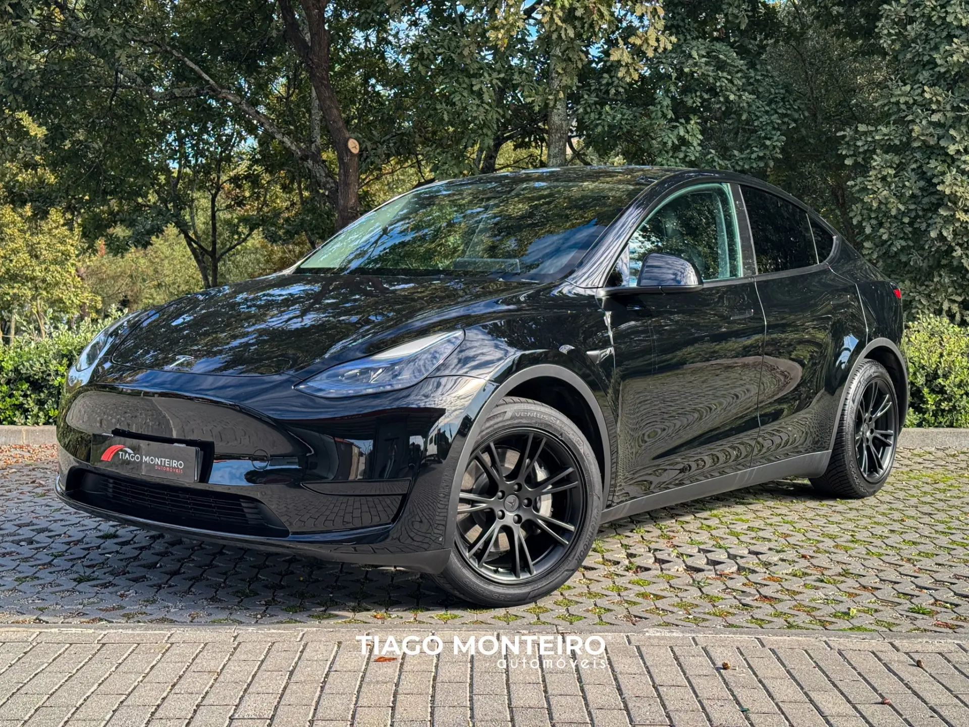 Tesla Model Y Tração Traseira 14