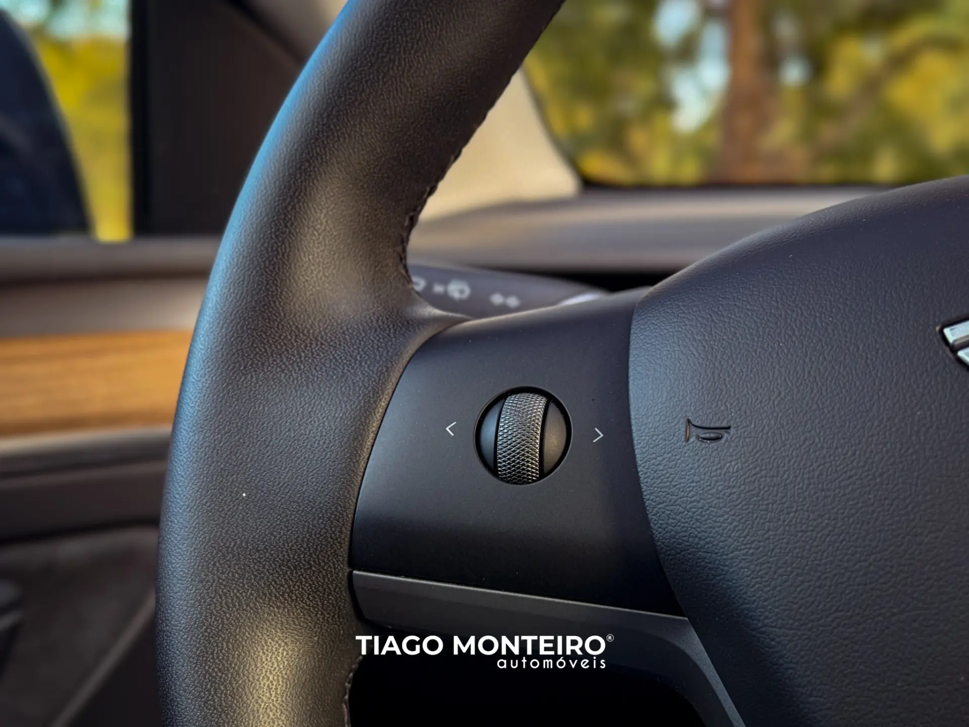 Tesla Model Y Tração Traseira 71