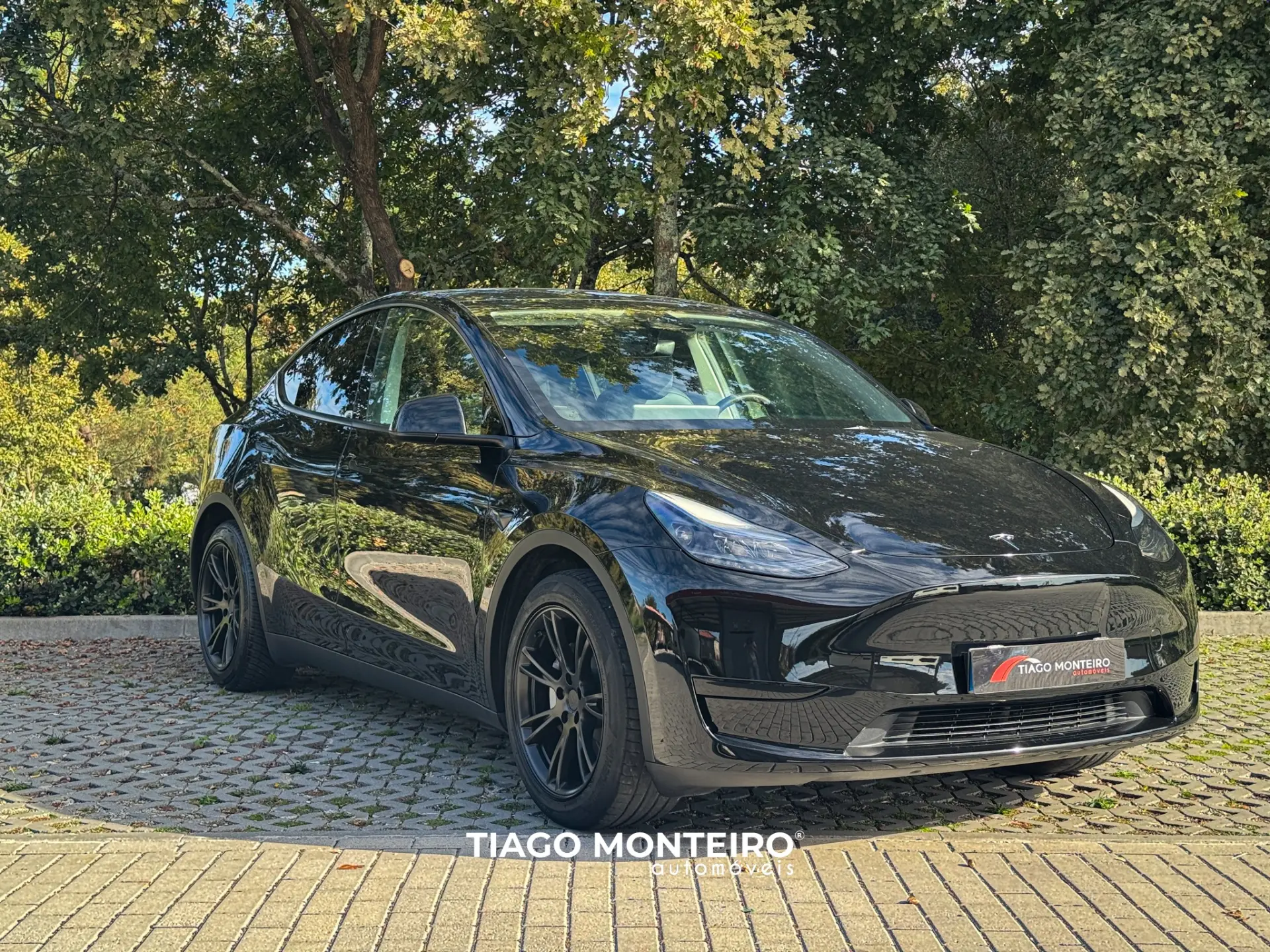 Tesla Model Y Tração Traseira 20