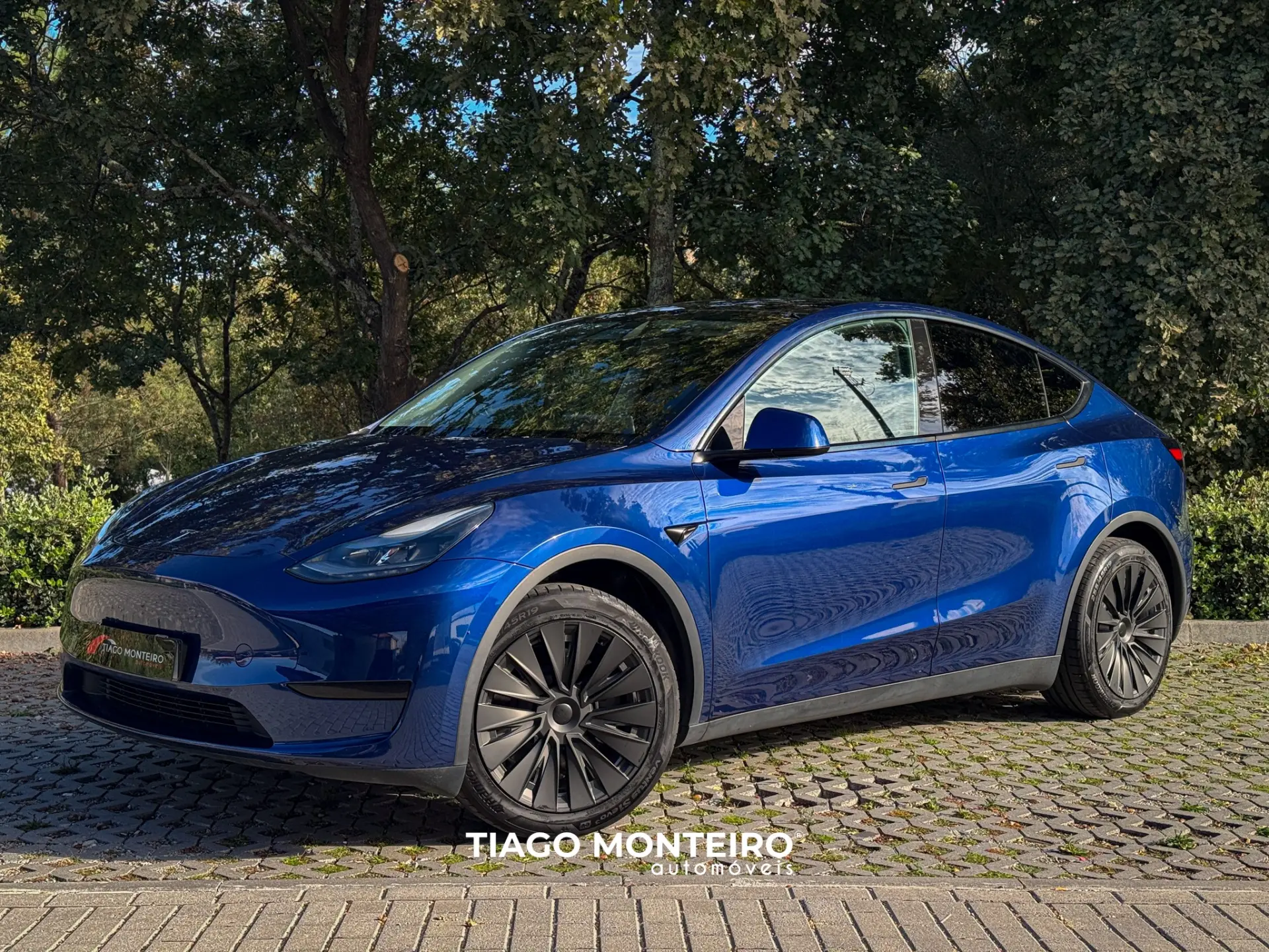 Tesla Model Y Tração Traseira 11