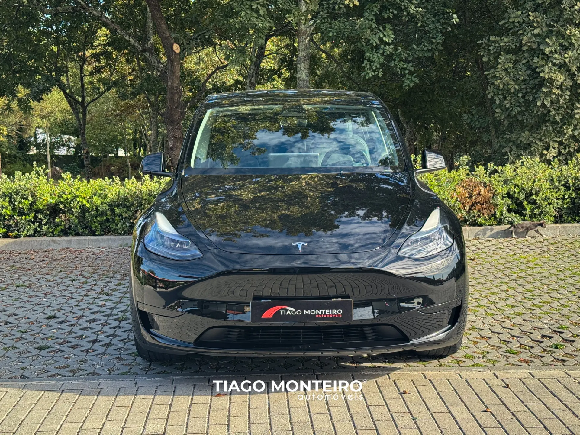Tesla Model Y Tração Traseira 16