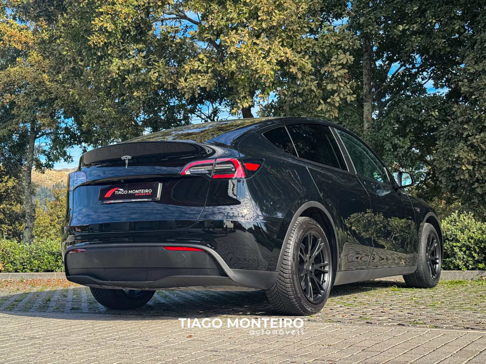 Tesla Model Y Tração Traseira 34