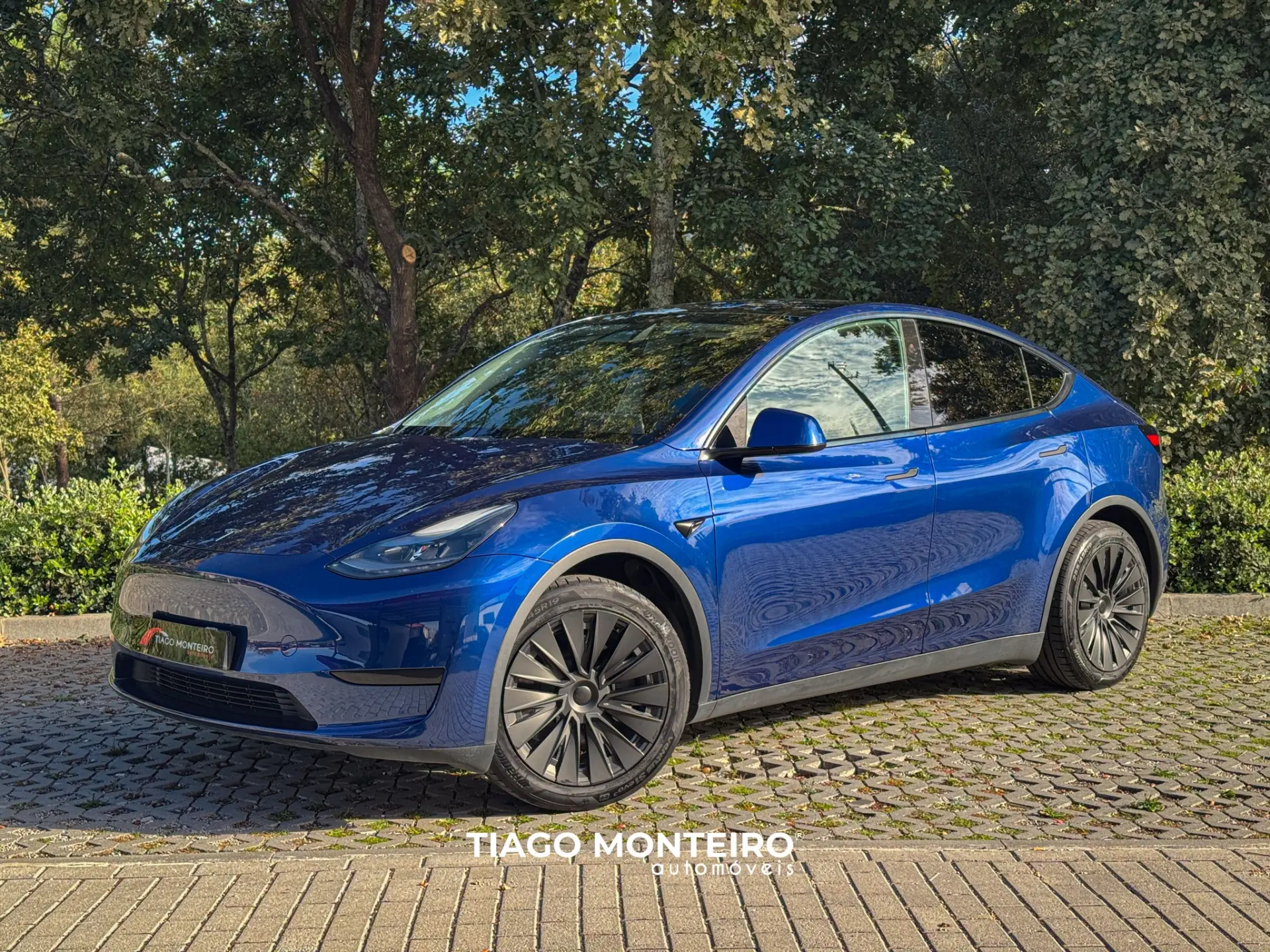 Tesla Model Y Tração Traseira 5