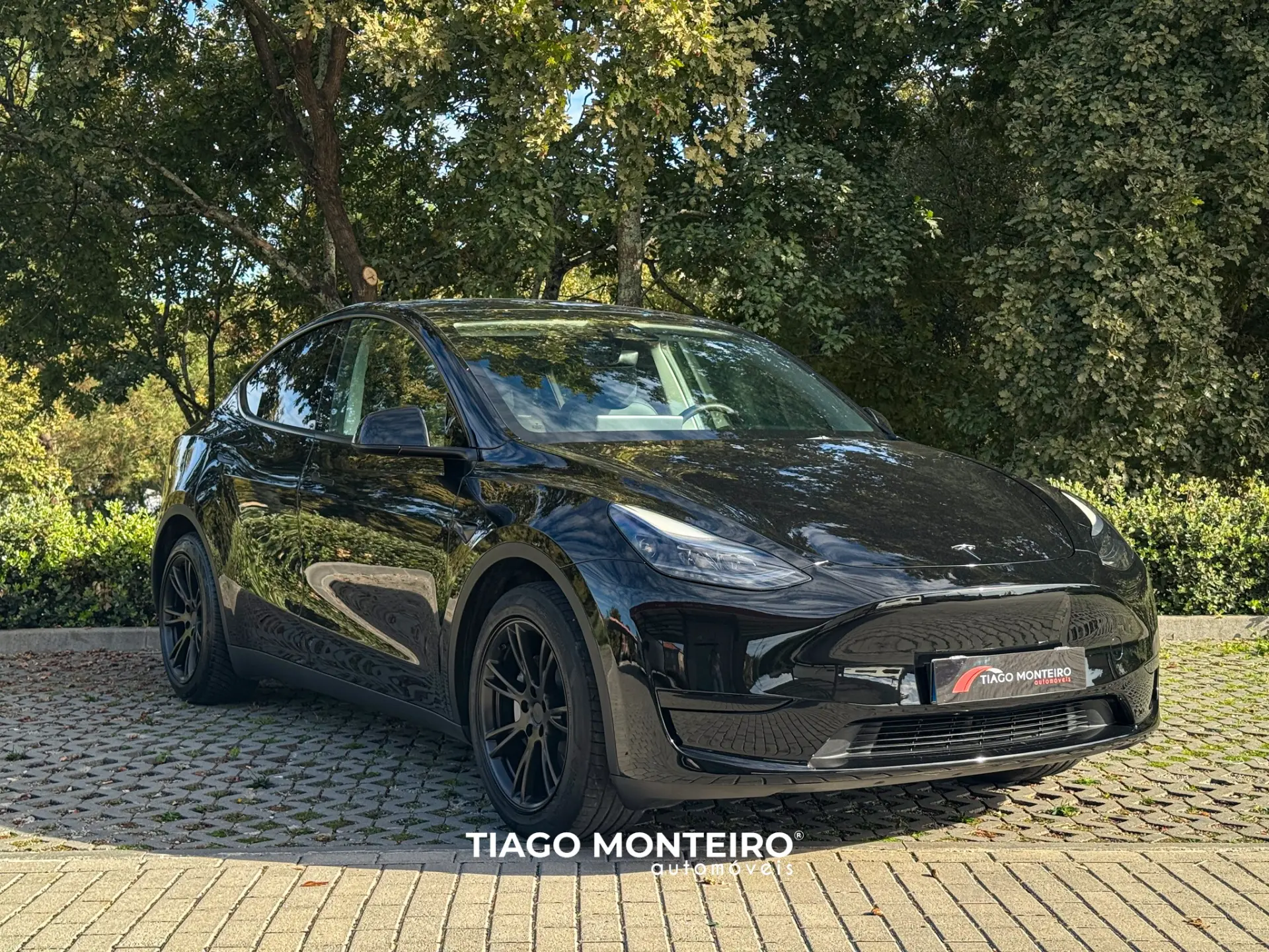 Tesla Model Y Tração Traseira 21