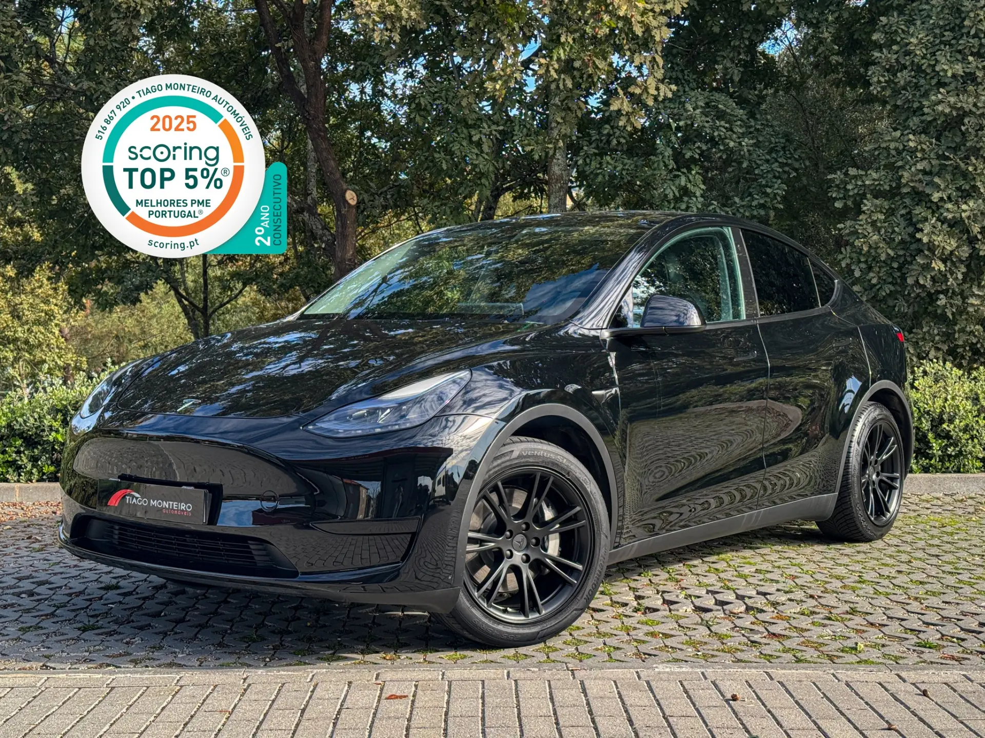 Tesla Model Y Tração Traseira 1