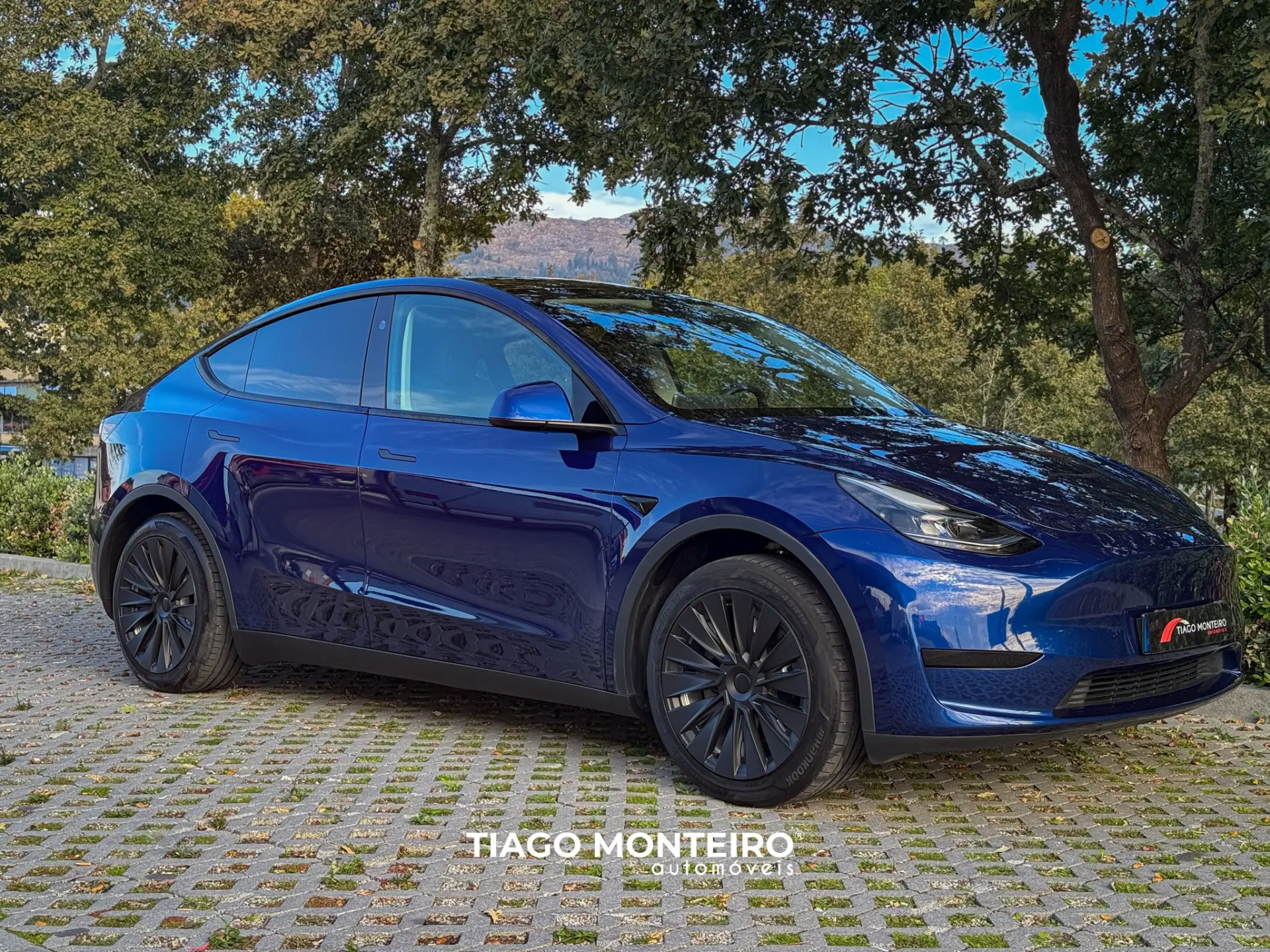 Tesla Model Y Tração Traseira 33