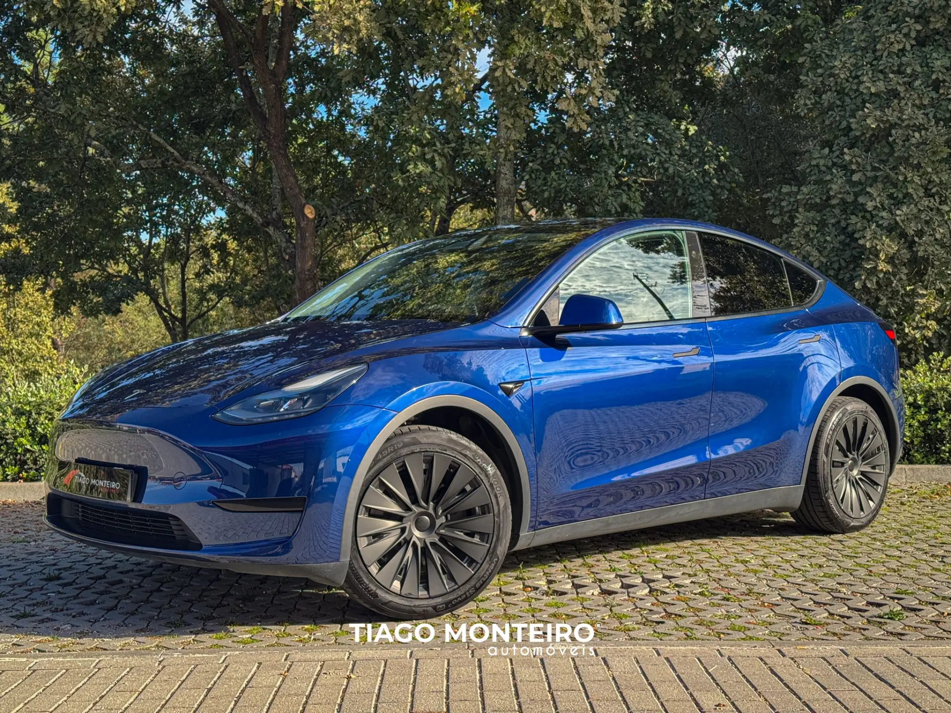 Tesla Model Y Tração Traseira 7