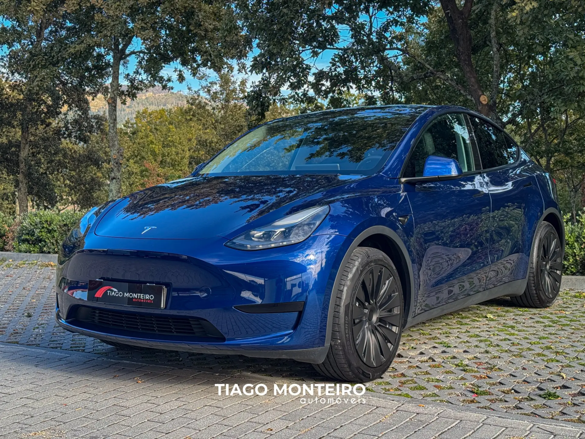 Tesla Model Y Tração Traseira 22