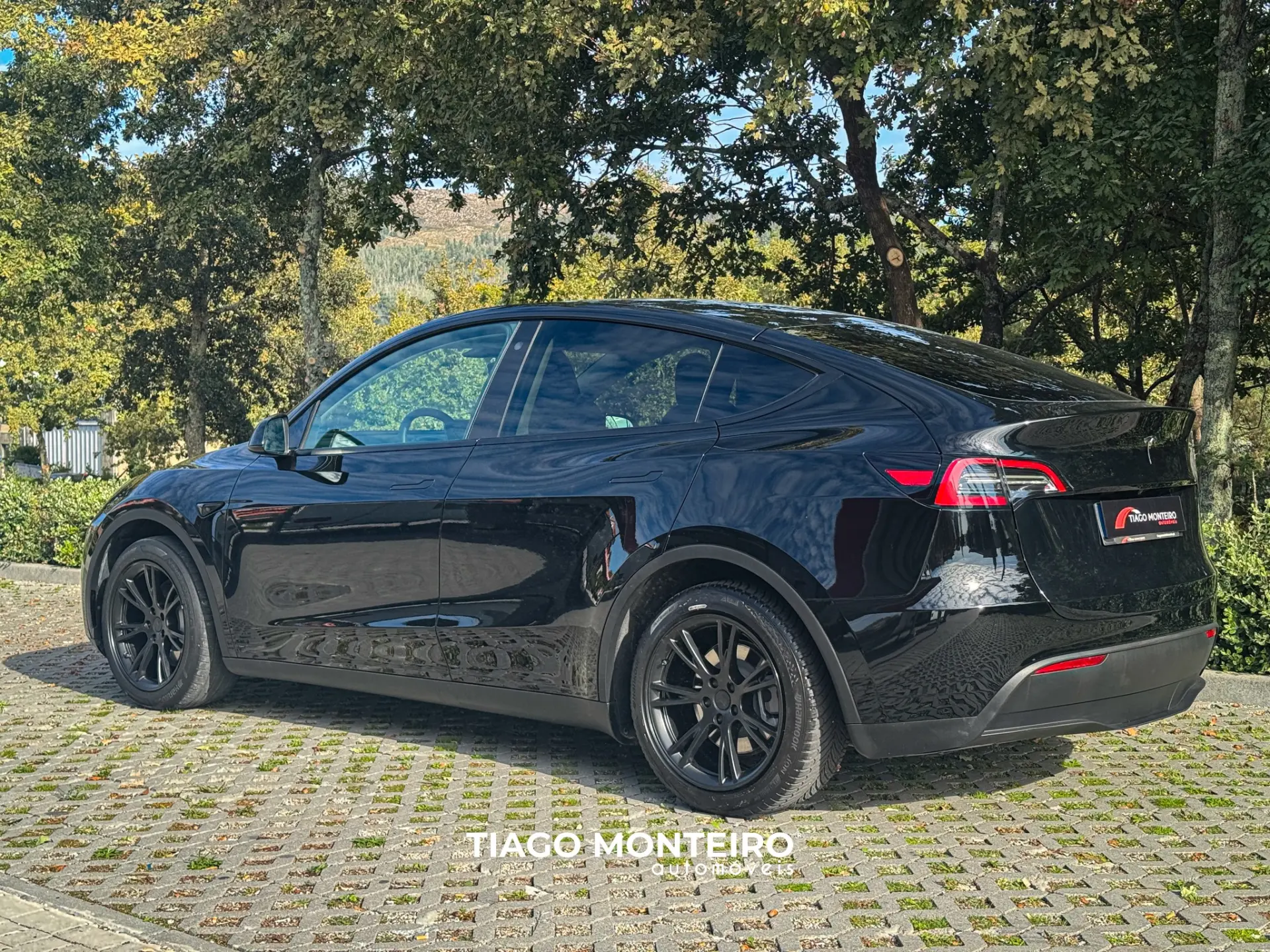 Tesla Model Y Tração Traseira 7