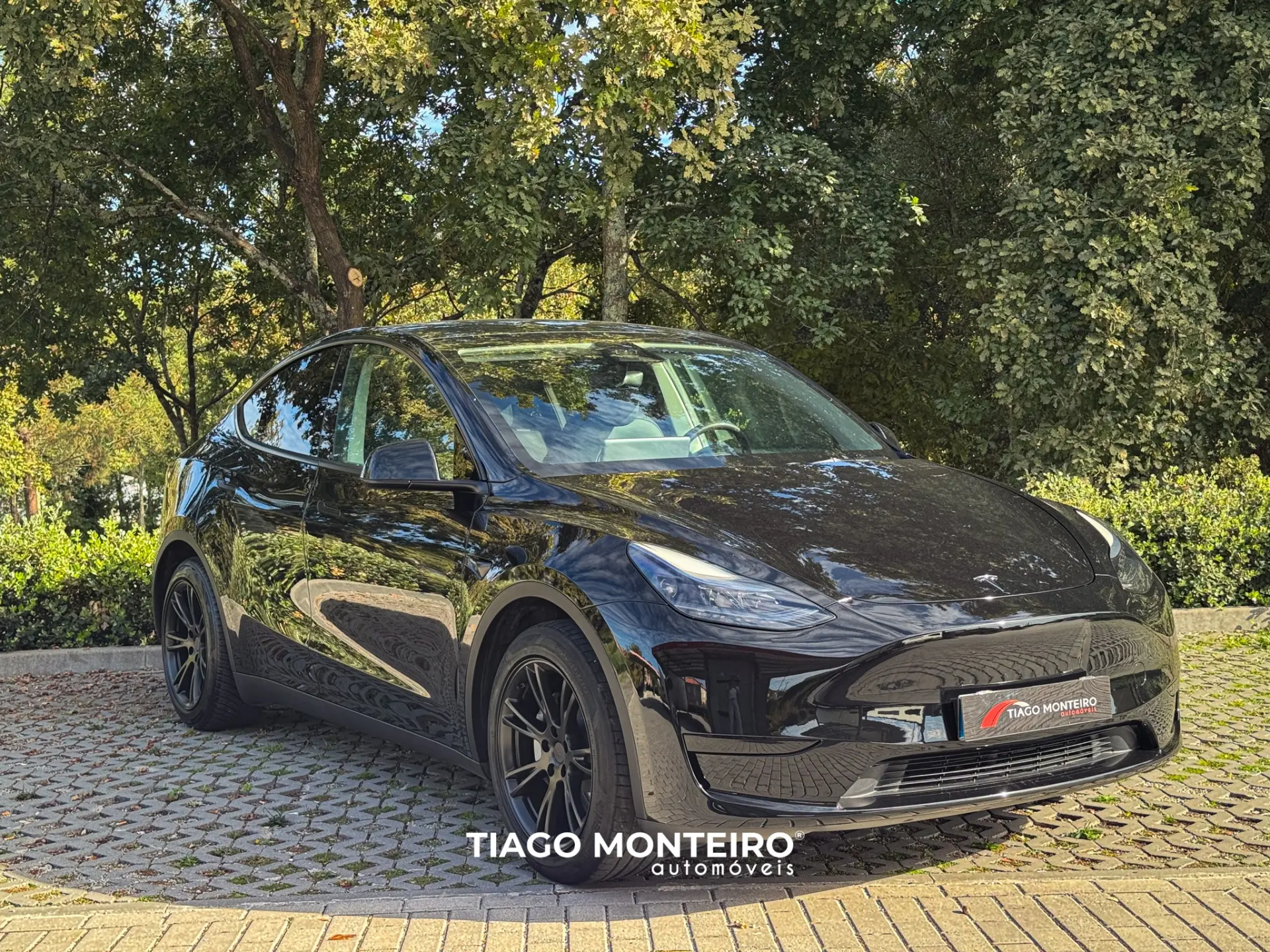 Tesla Model Y Tração Traseira 19