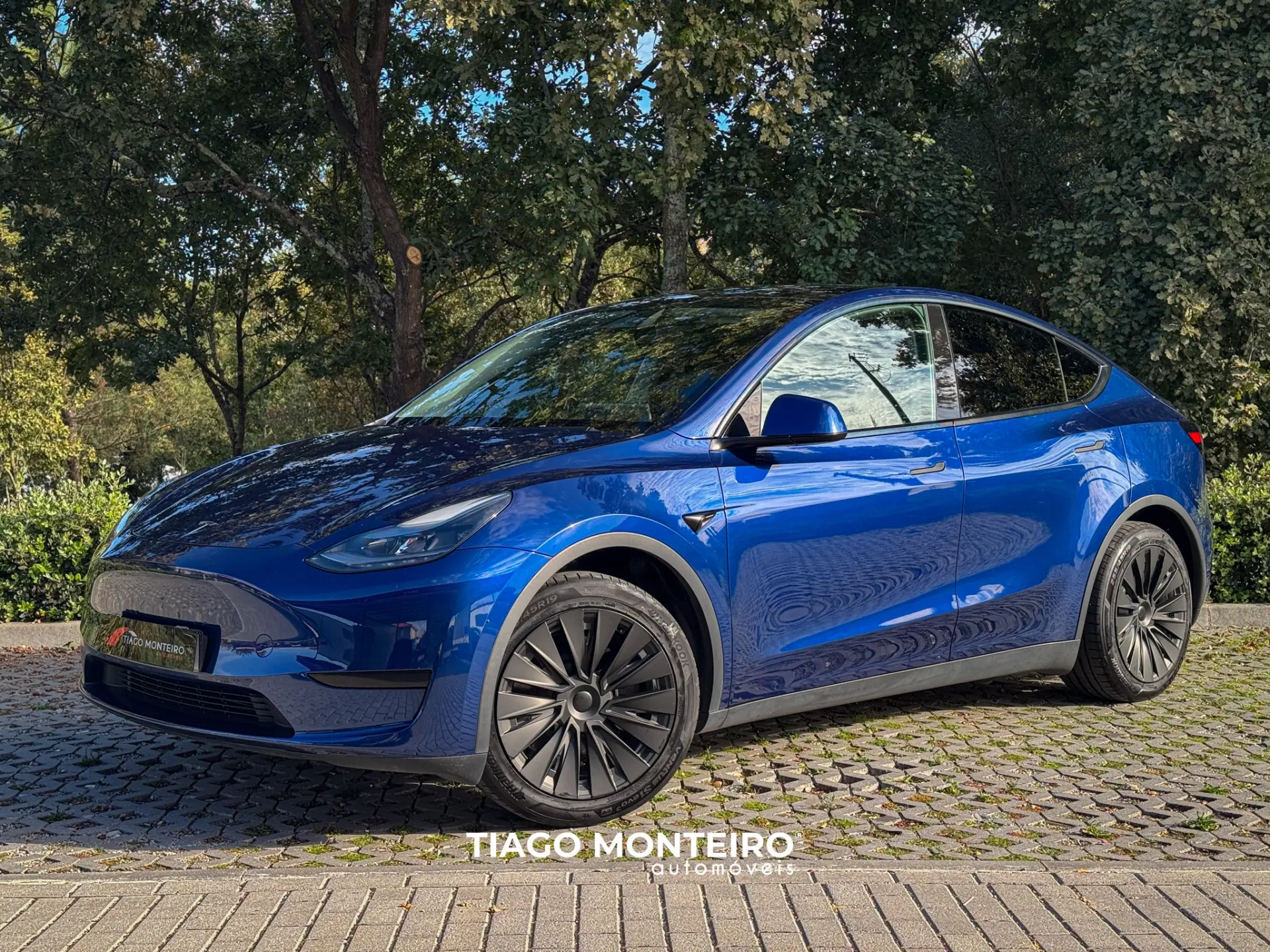 Tesla Model Y Tração Traseira 12