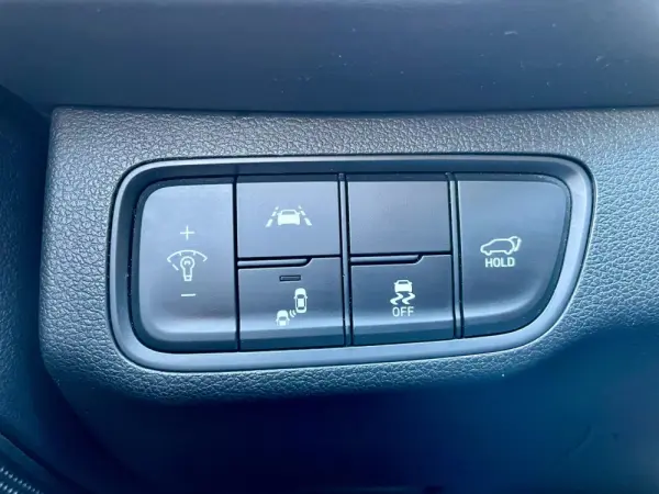 Hyundai Santa Fe 2.2 CRDi Premium 17