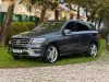 Mercedes-Benz ML 250 BlueTEC 4MATIC 7G-TRONIC