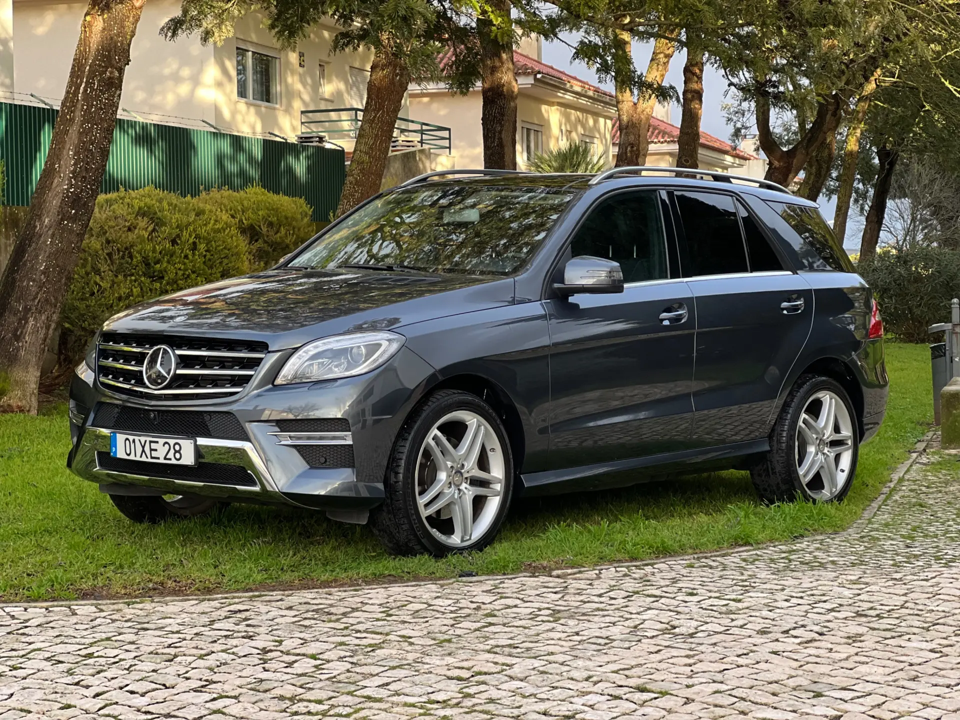 Mercedes-Benz ML 250 BlueTEC 4MATIC 7G-TRONIC 1