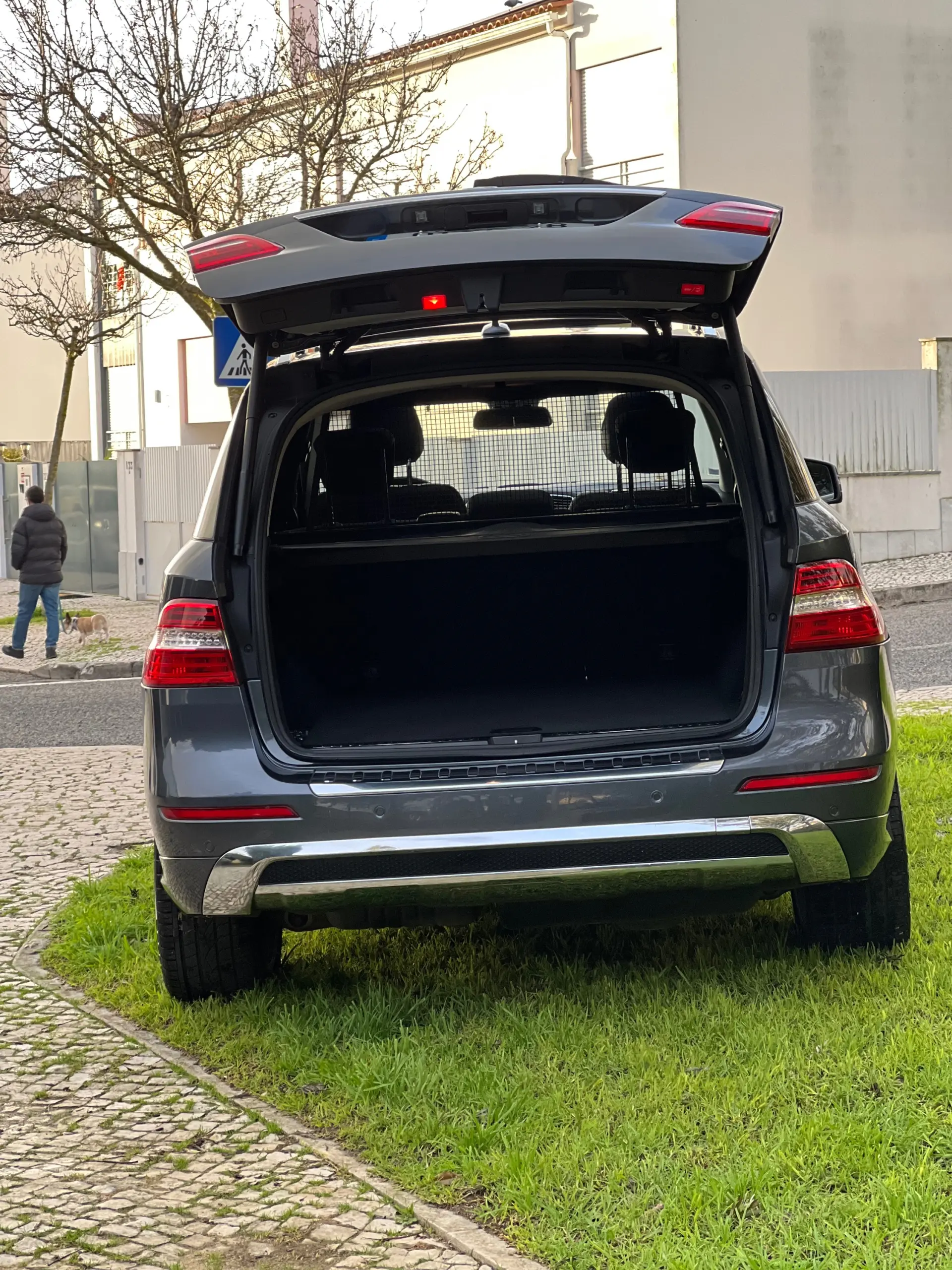 Mercedes-Benz ML 250 BlueTEC 4MATIC 7G-TRONIC 7