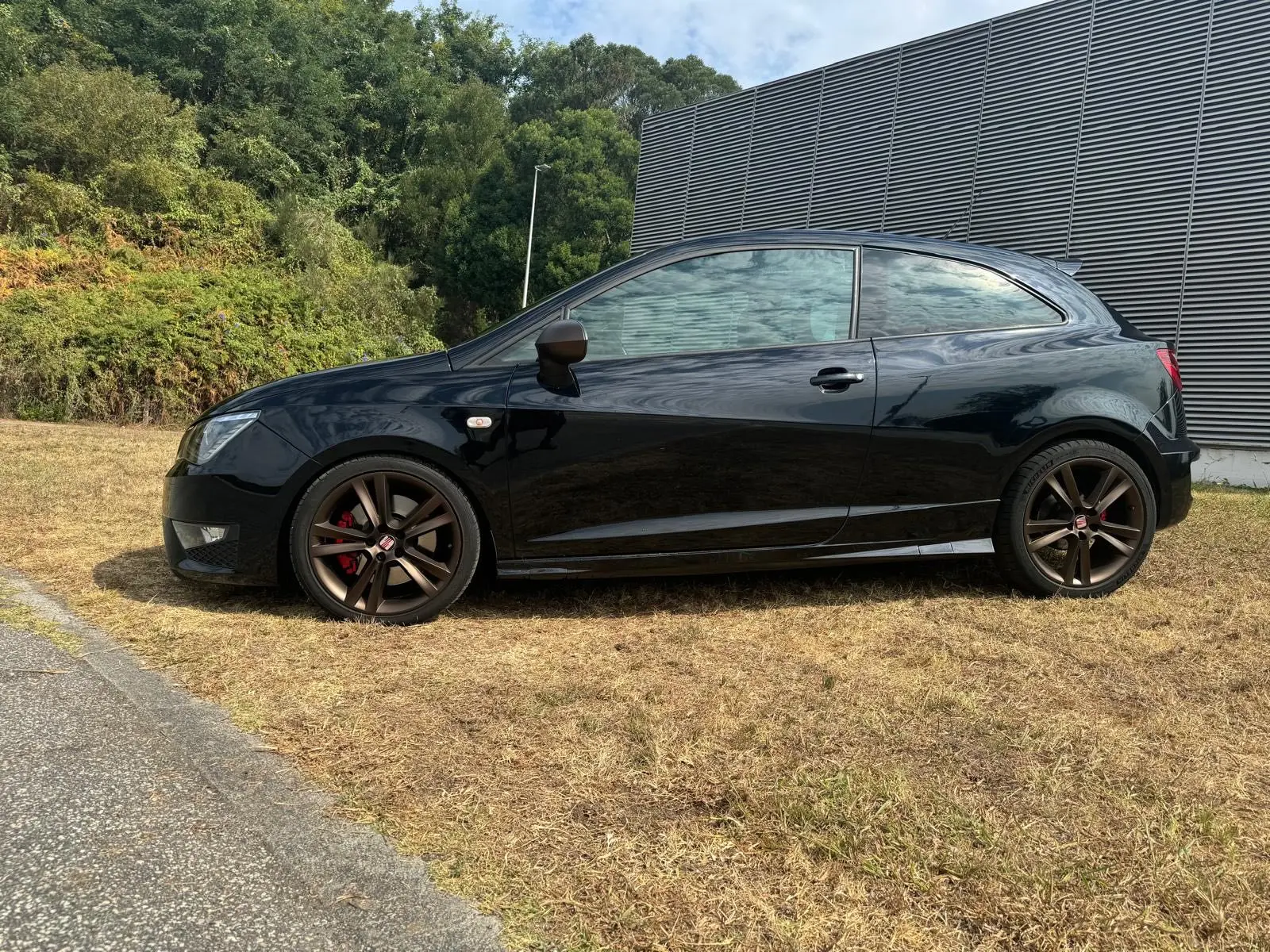 SEAT Ibiza 1.8 TSI Cupra 2