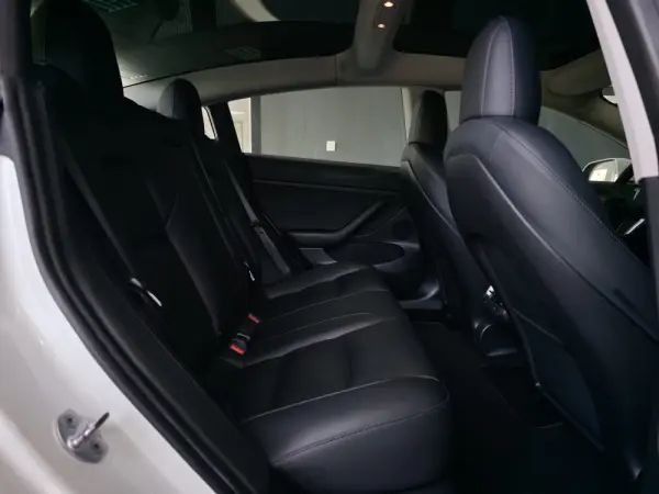 Tesla Model 3 Long Range Tração Integral 51
