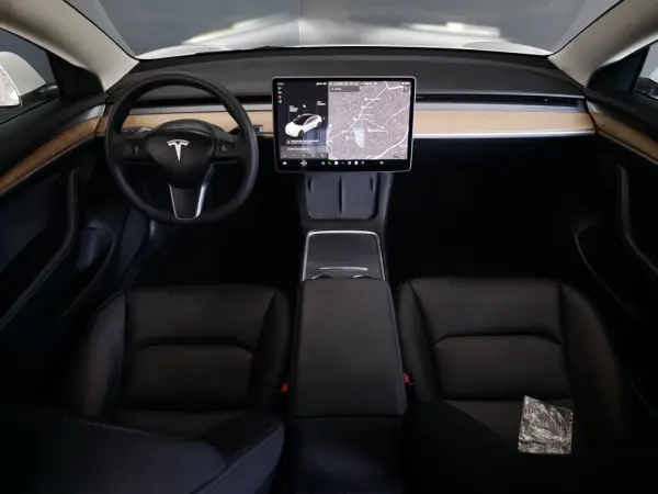 Tesla Model 3 Long Range Tração Integral 55