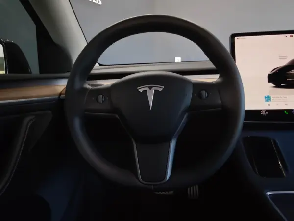 Tesla Model Y Performance Dual Motor AWD 42