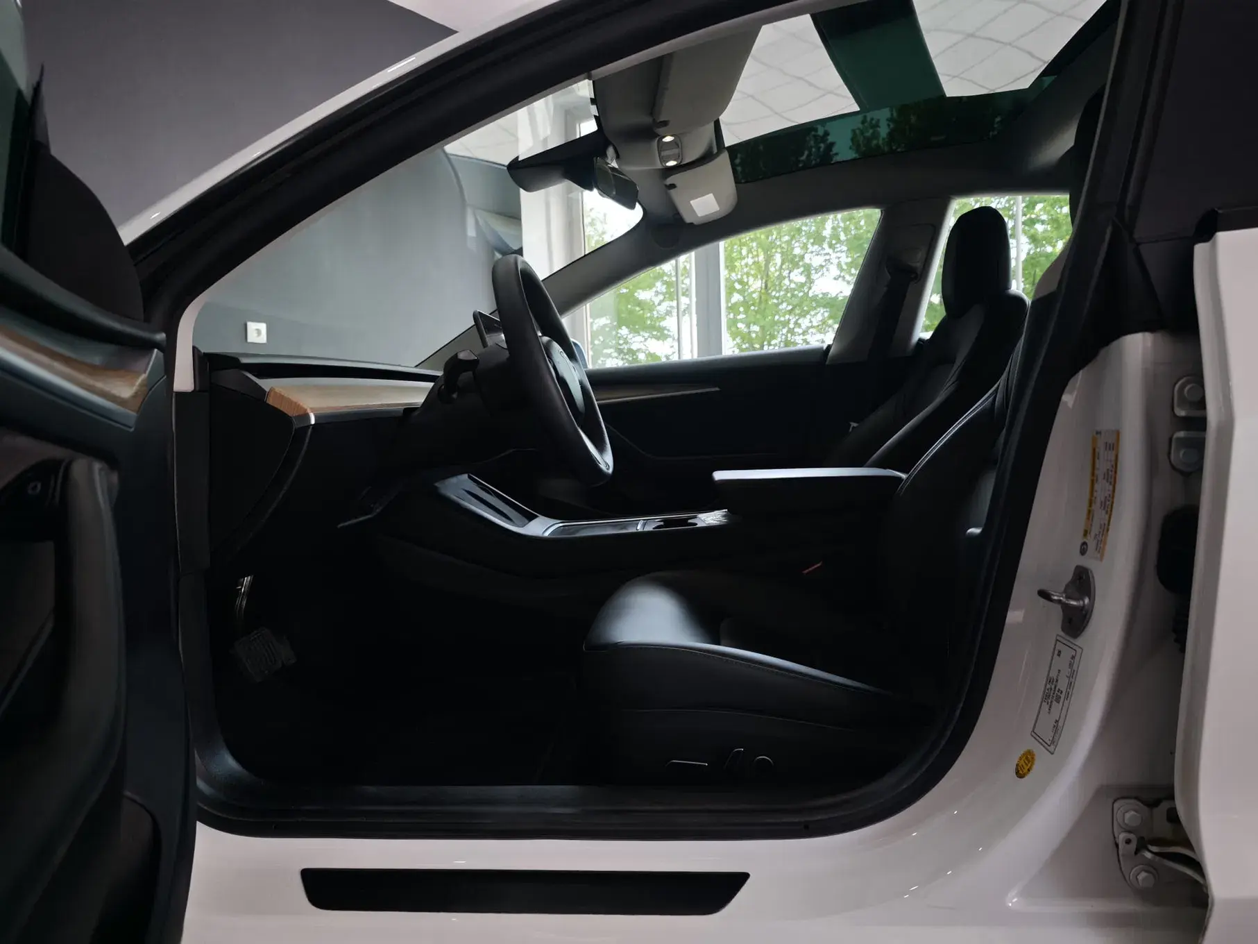 Tesla Model 3 Long Range Tração Integral 28