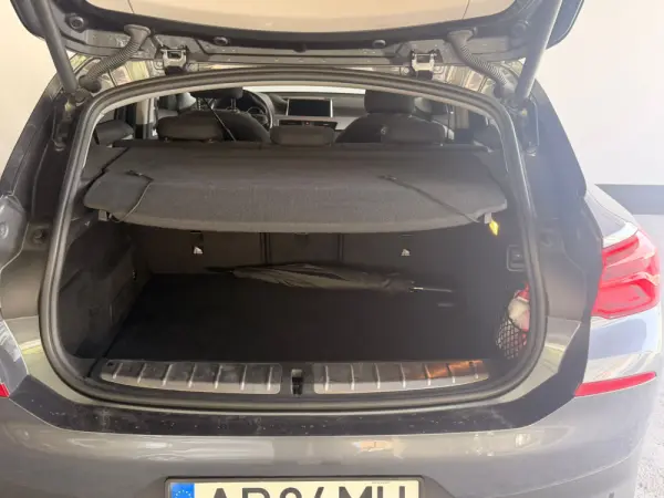 BMW X2 16 d sDrive Auto 19