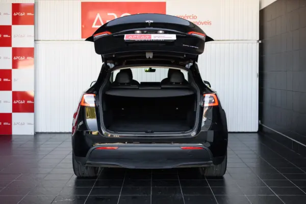 Tesla Model Y Long Range Dual Motor AWD 17