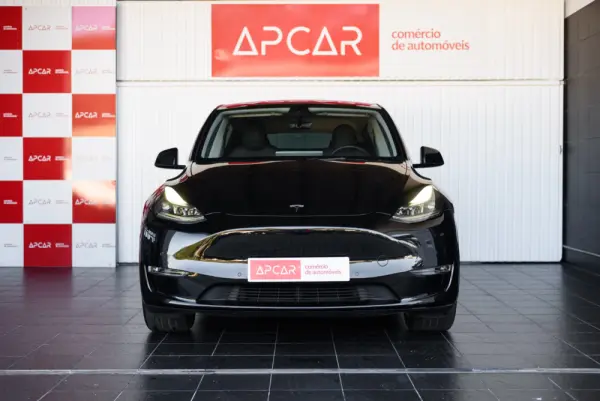 Tesla Model Y Long Range Dual Motor AWD 21