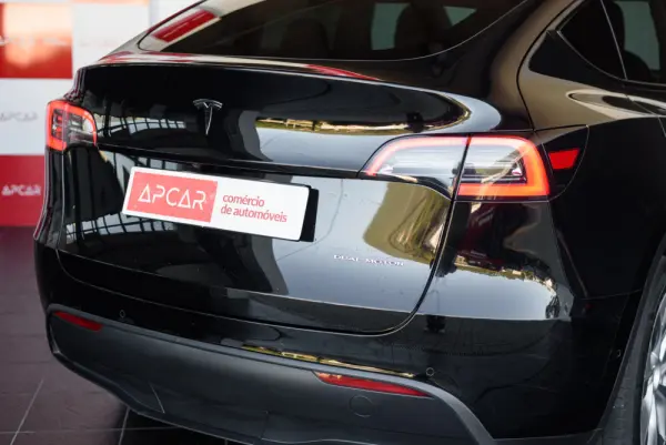 Tesla Model Y Long Range Dual Motor AWD 14
