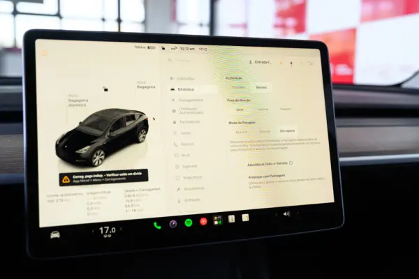 Tesla Model Y Long Range Dual Motor AWD 39