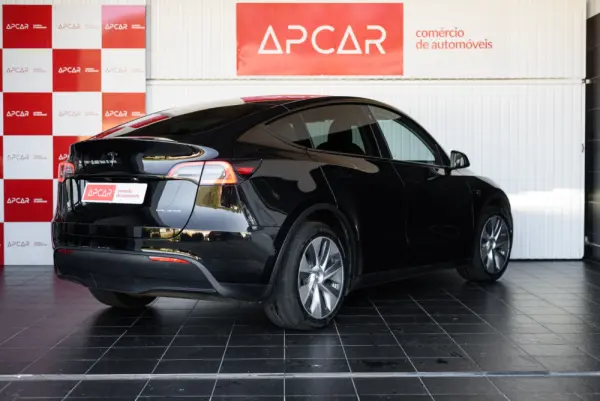 Tesla Model Y Long Range Dual Motor AWD 13