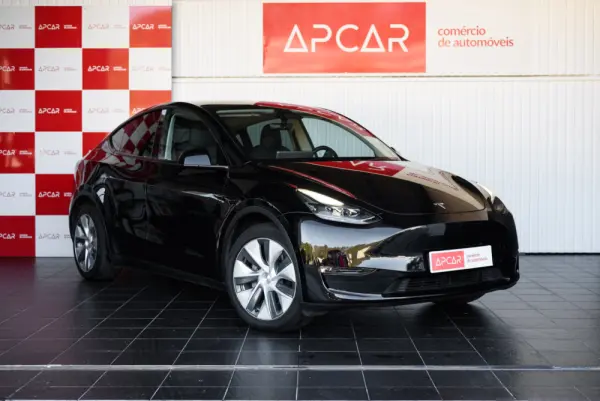 Tesla Model Y Long Range Dual Motor AWD 22