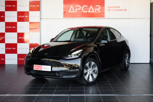 Tesla Model Y Long Range Dual Motor AWD 1