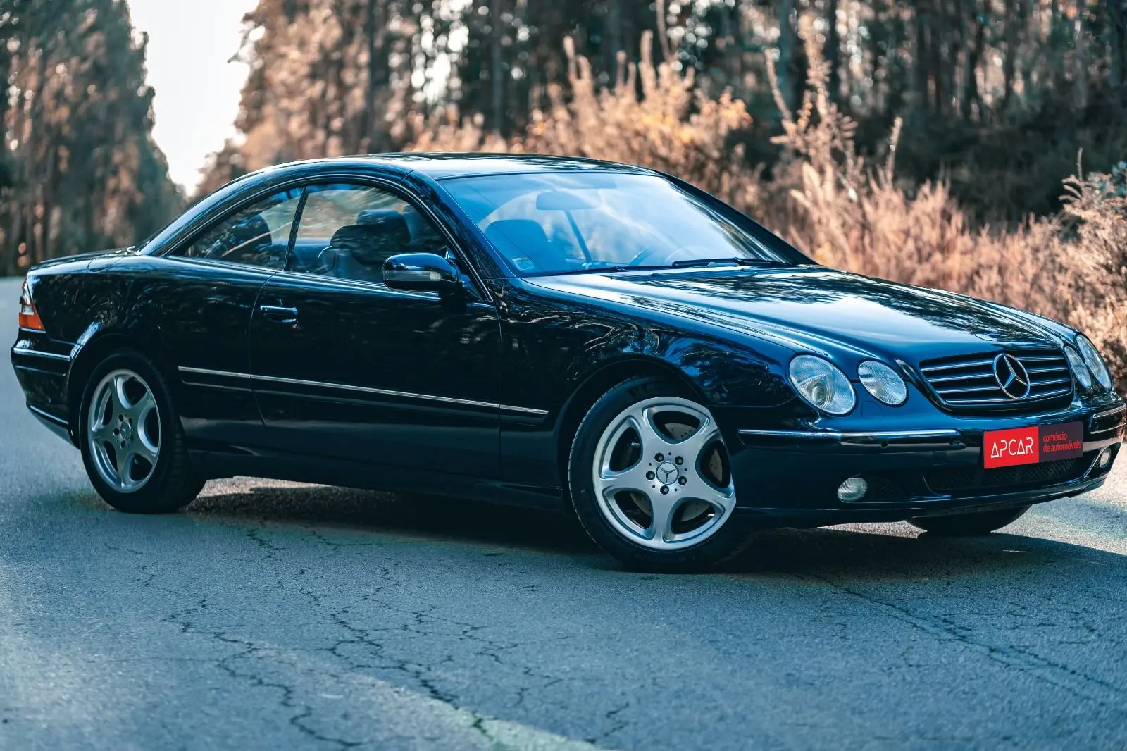 Mercedes-Benz CL 500 Coupé 65