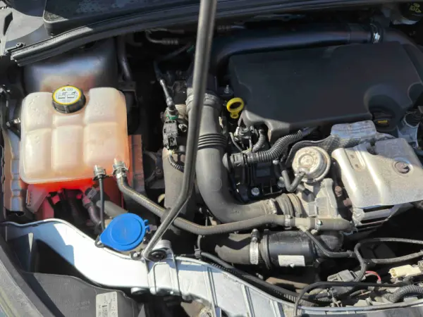 Ford Focus 1.0 SCTi Trend 19